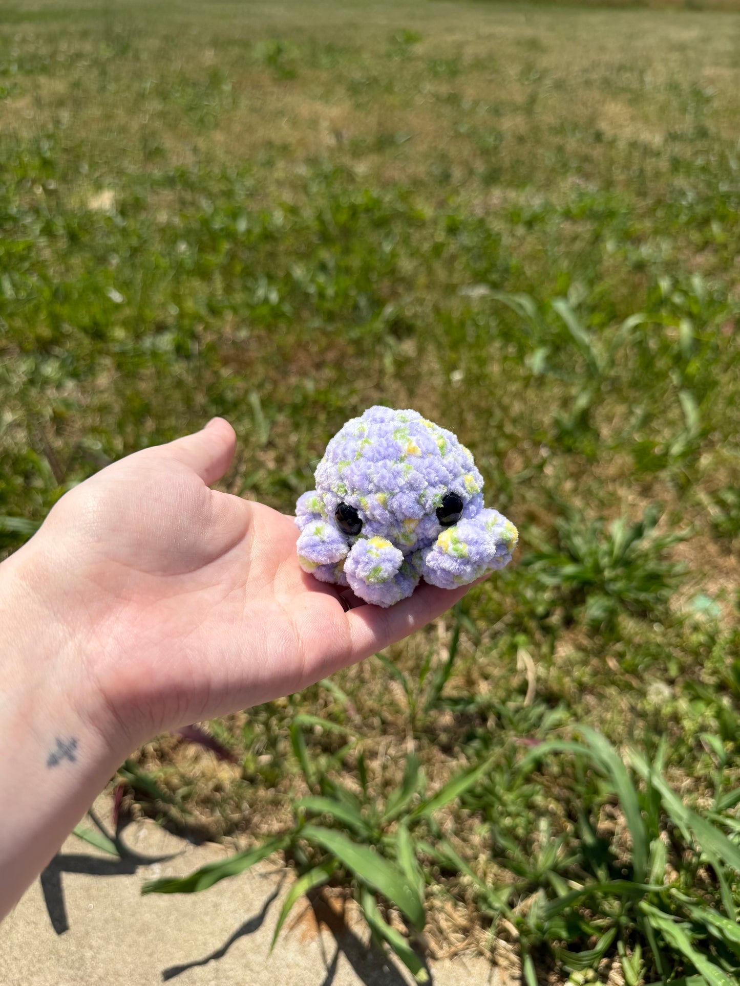 Baby Octos