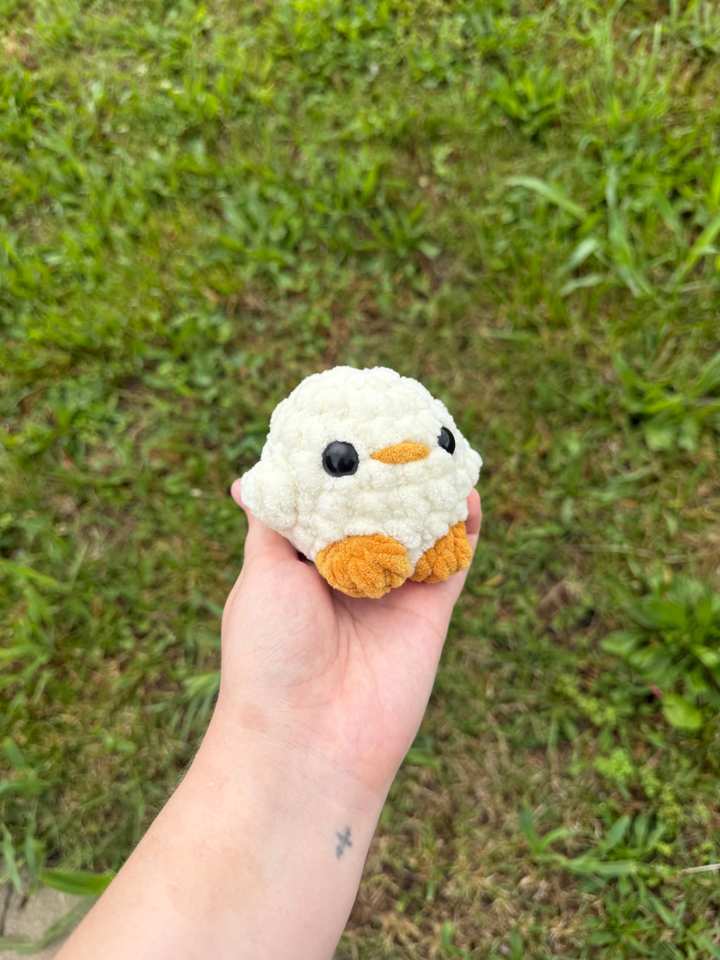 Cream Chicks