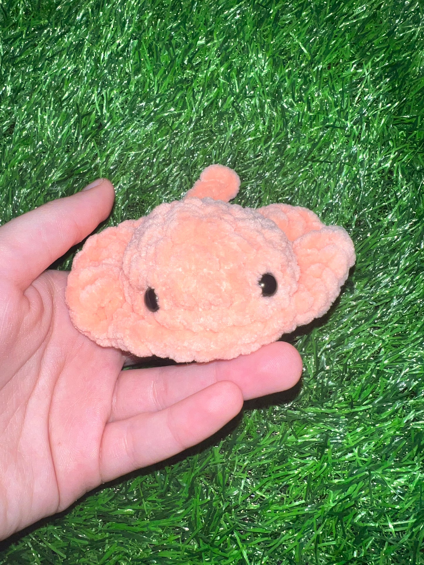 Mini Stingray Plushies