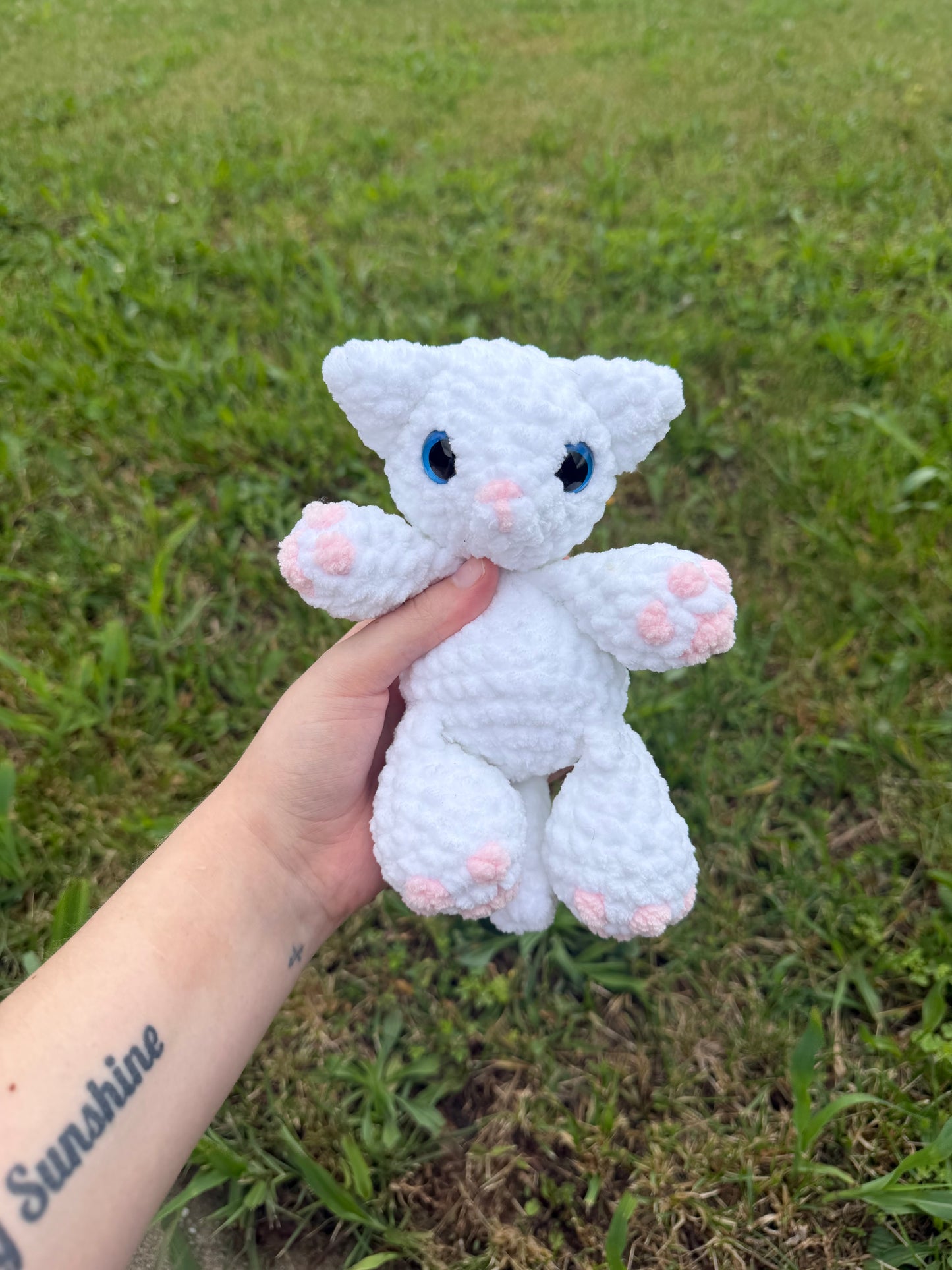 Kitty