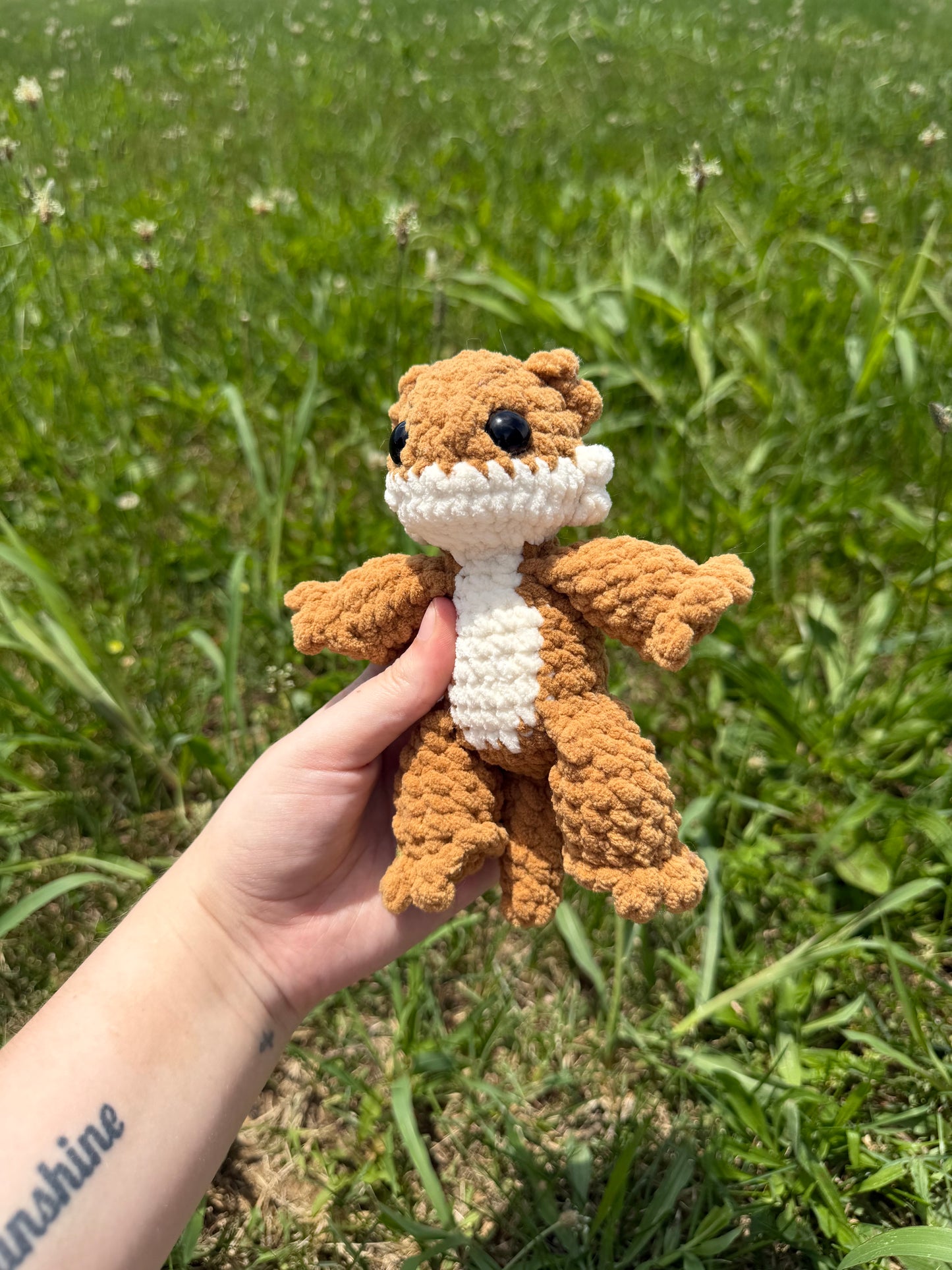 Baby Bearded Dragon