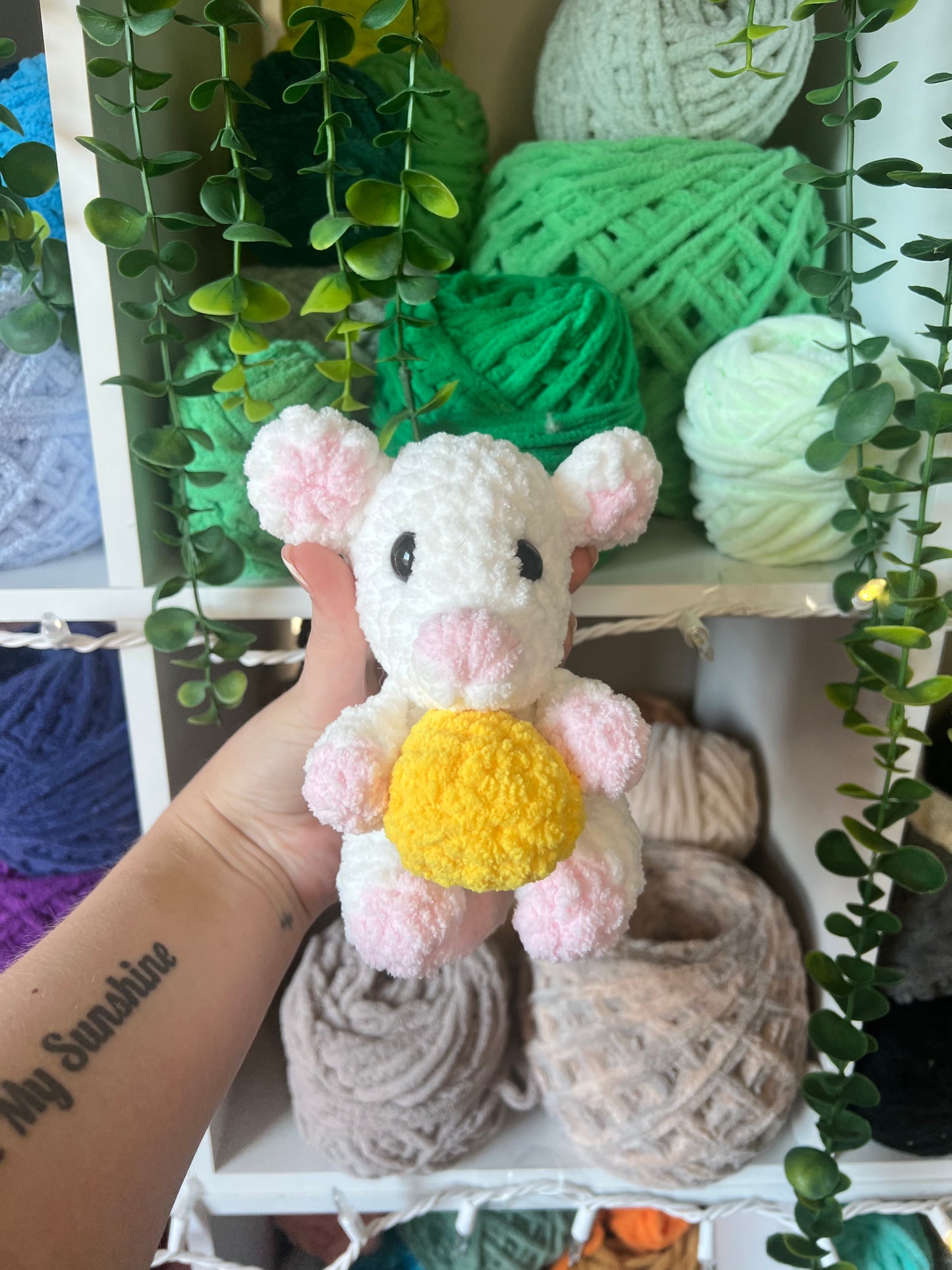 Baby Mouse with Cheese