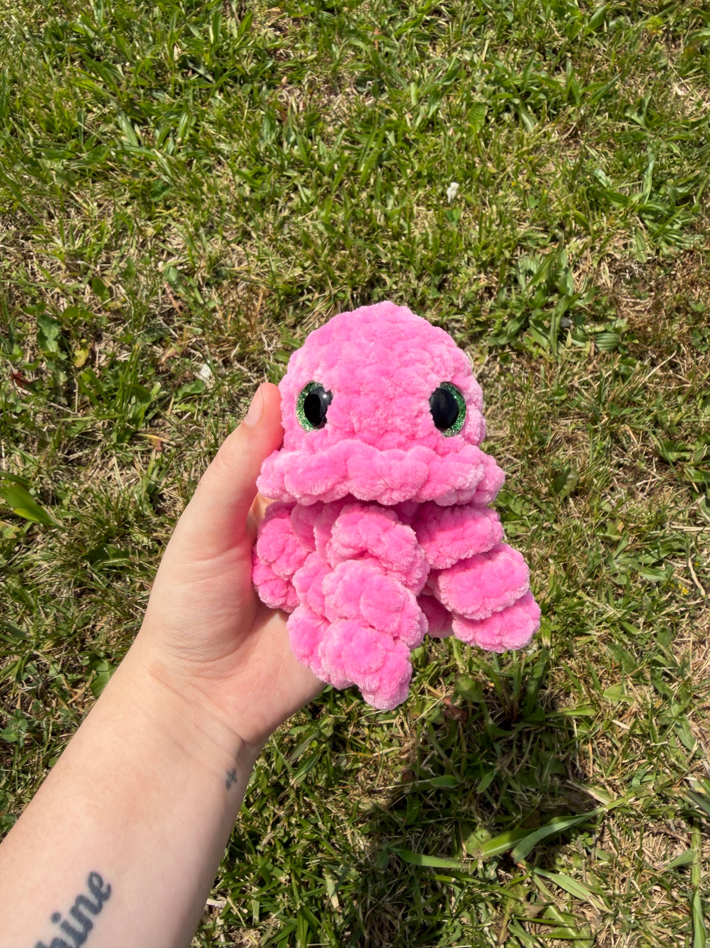 Jellyfish