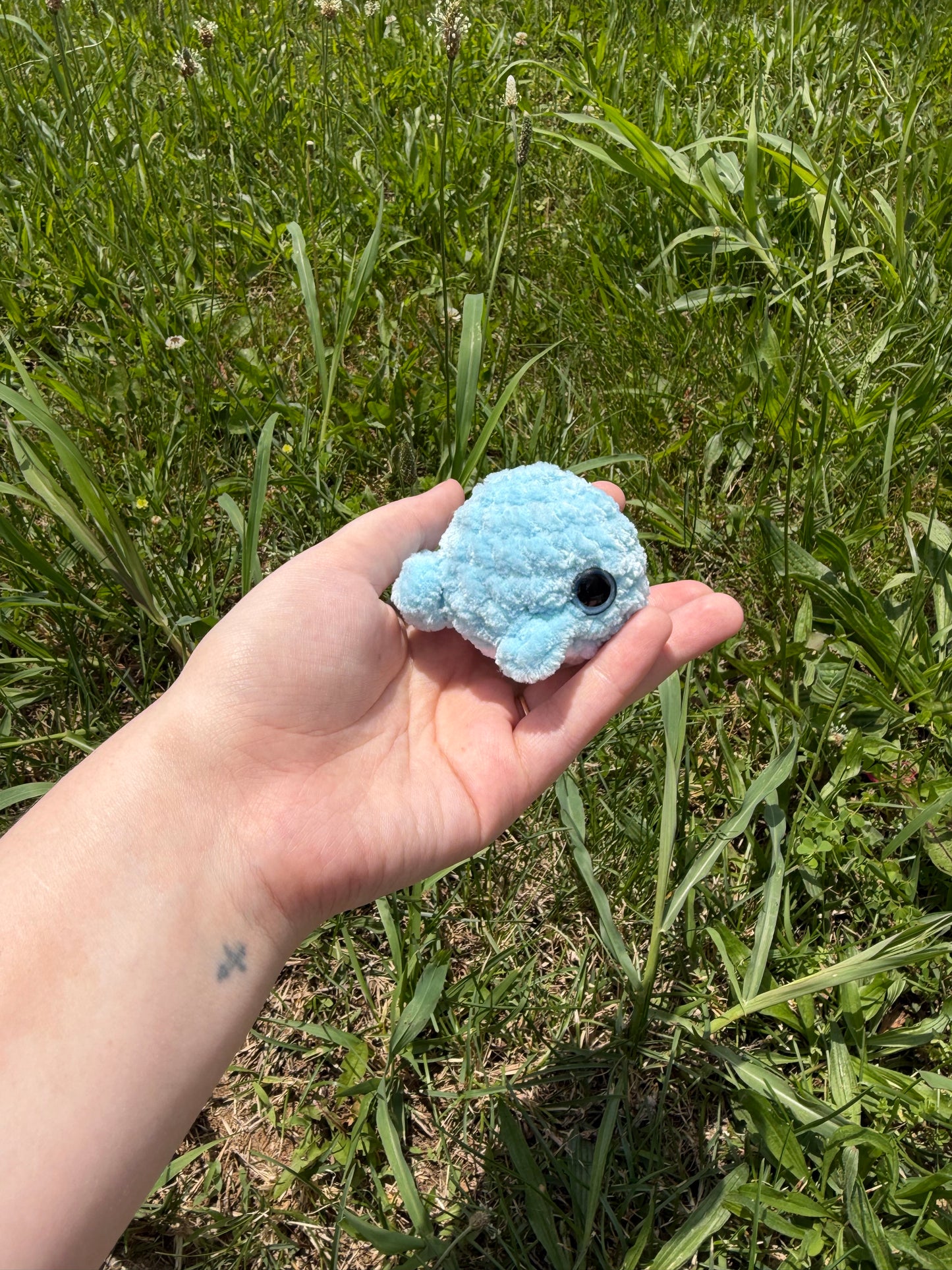 Mini Whales