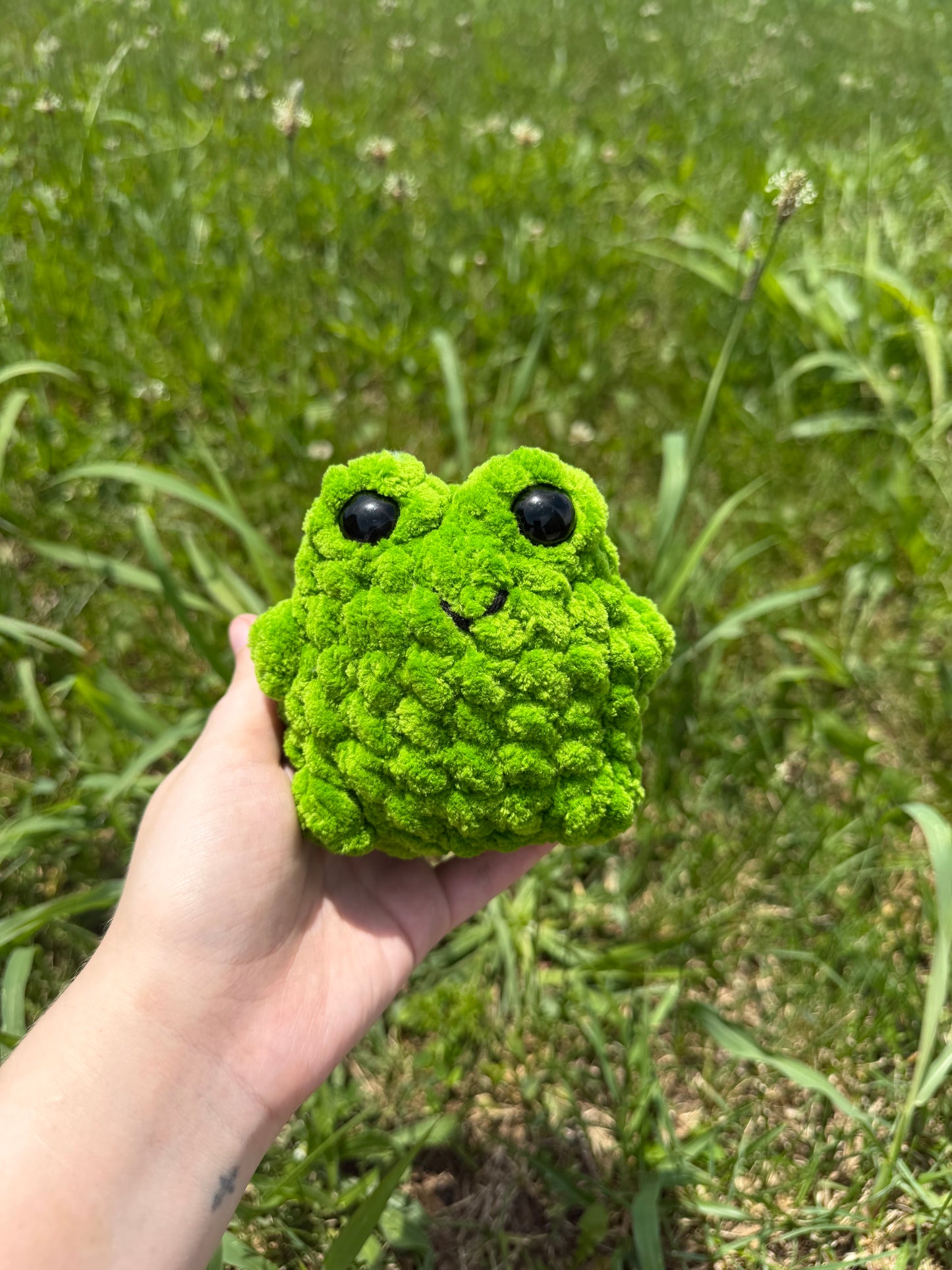 Large Chubby Frogs