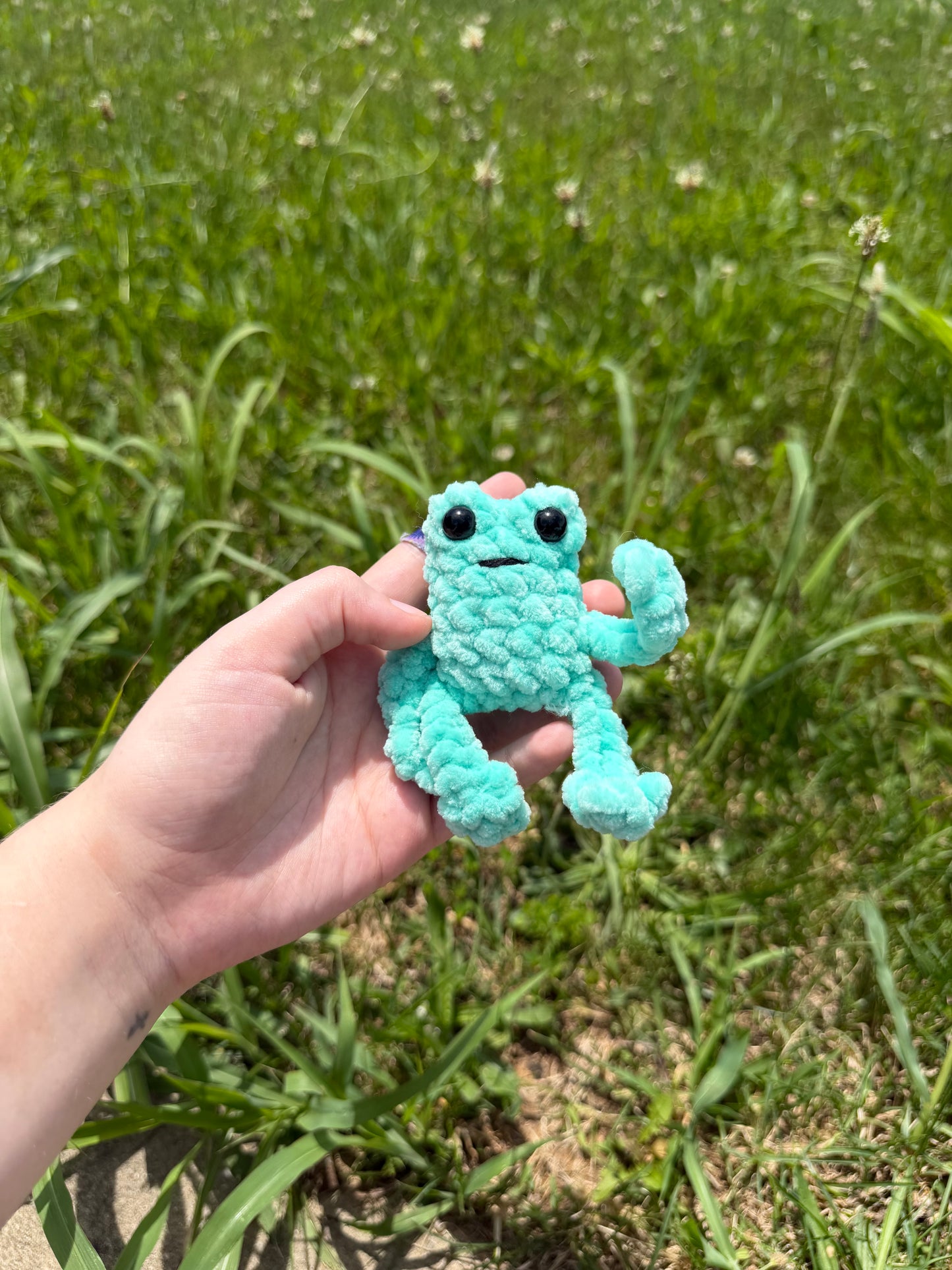 Baby Leggy Frogs