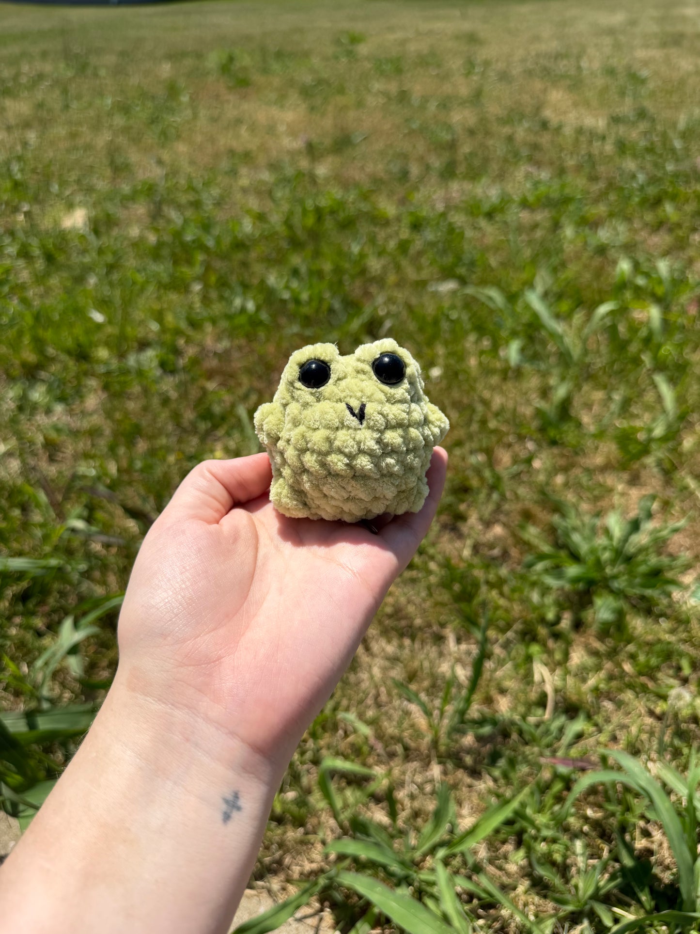 Chubby Frogs