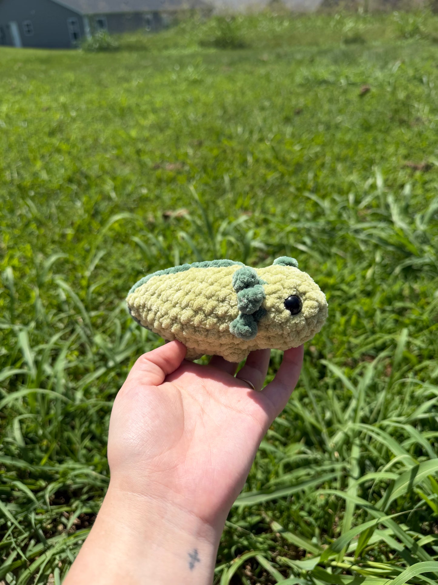 Mini Axoltls