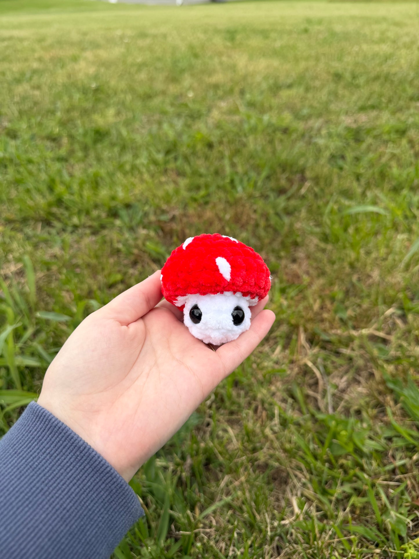 Mushroom Pops