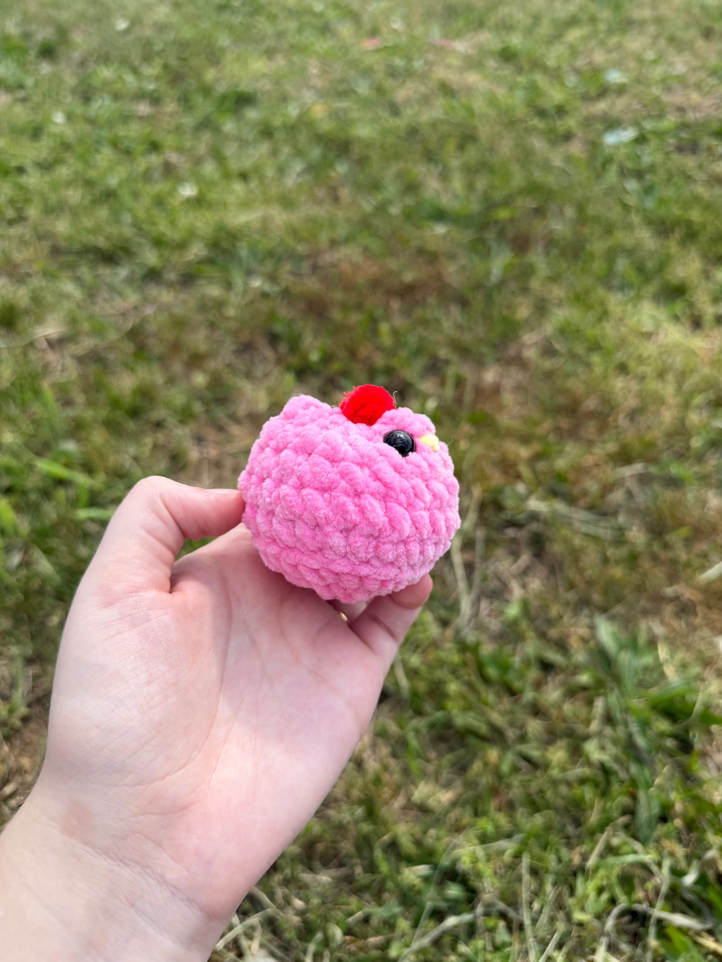 Mini Chickens