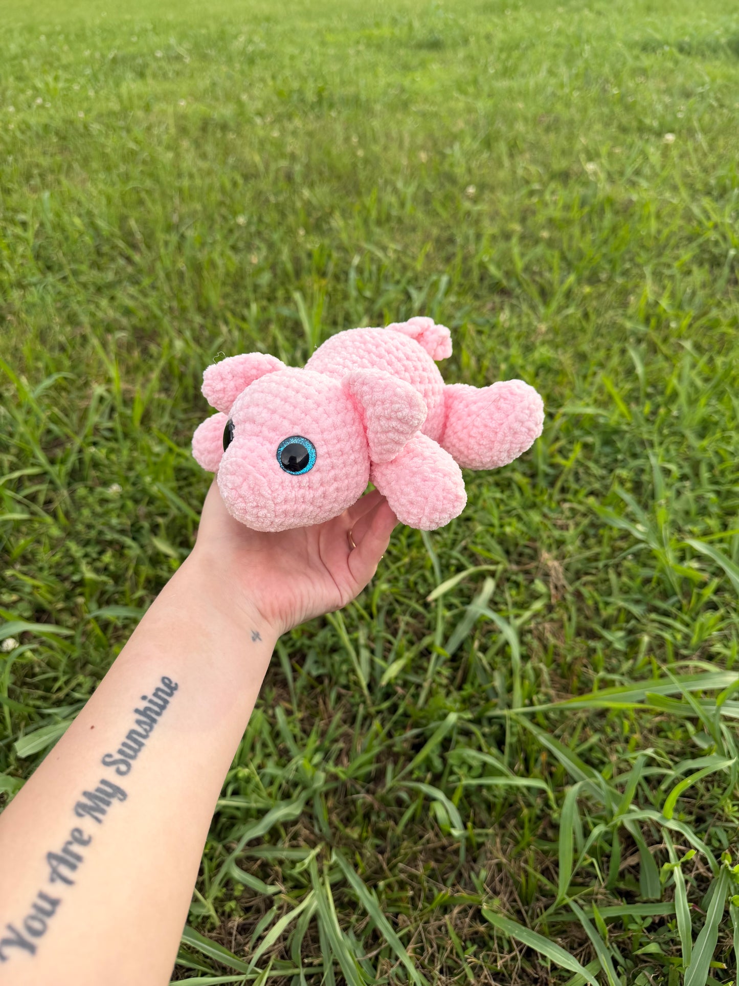 Laying Pig