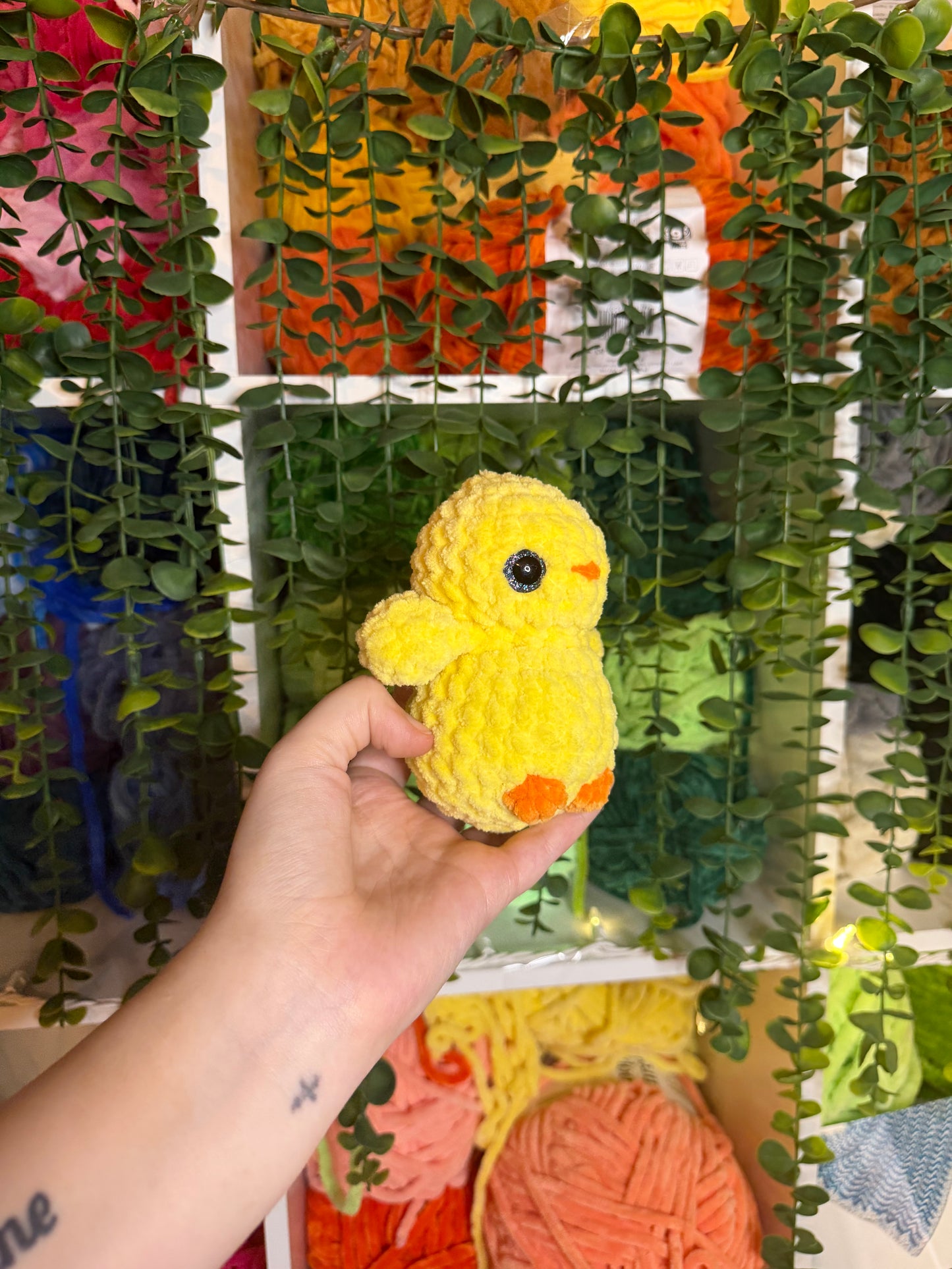 Duck