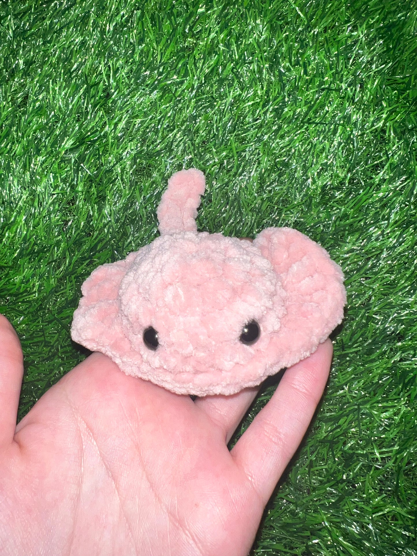 Mini Stingray Plushies