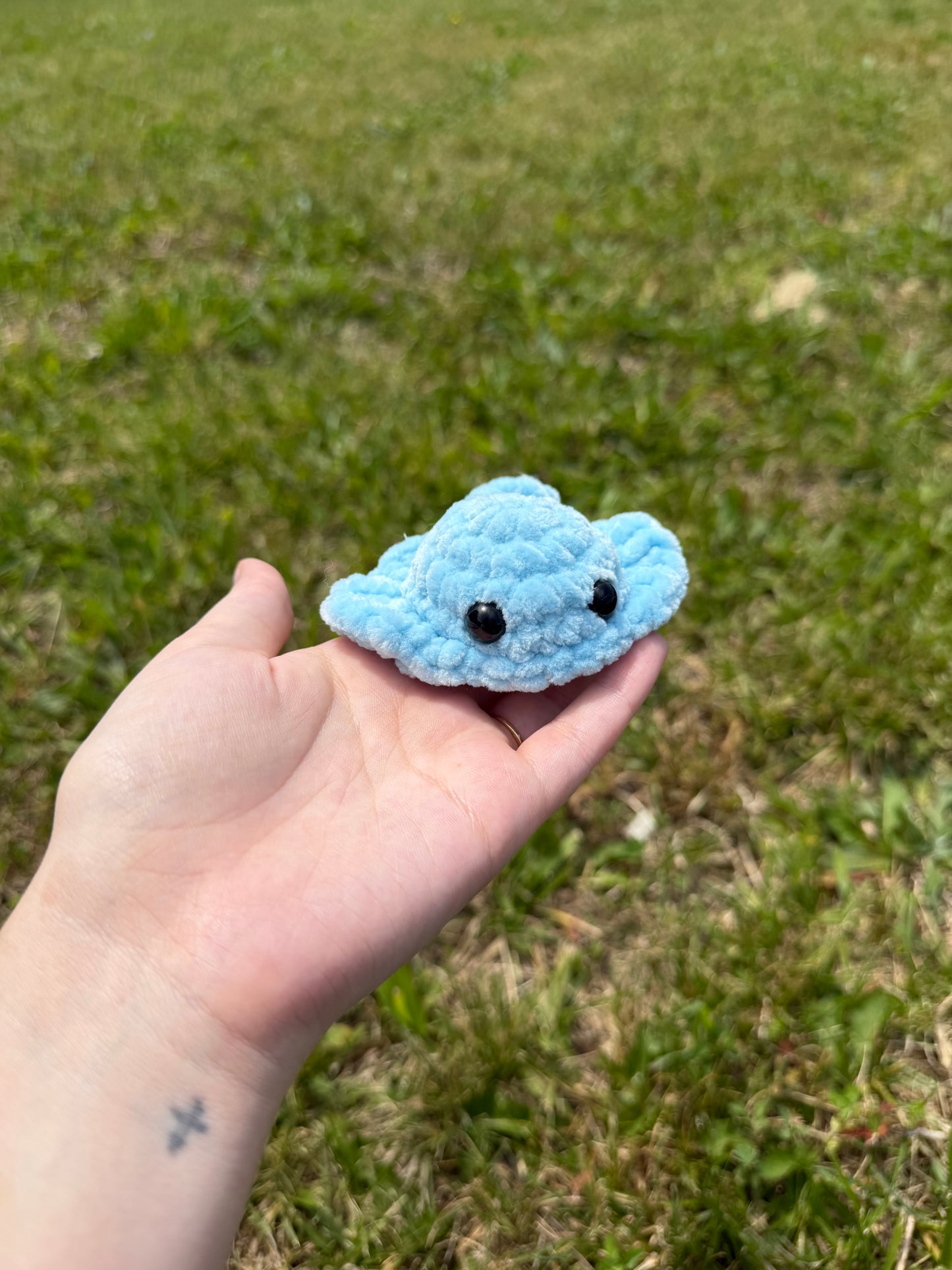Mini Stingray