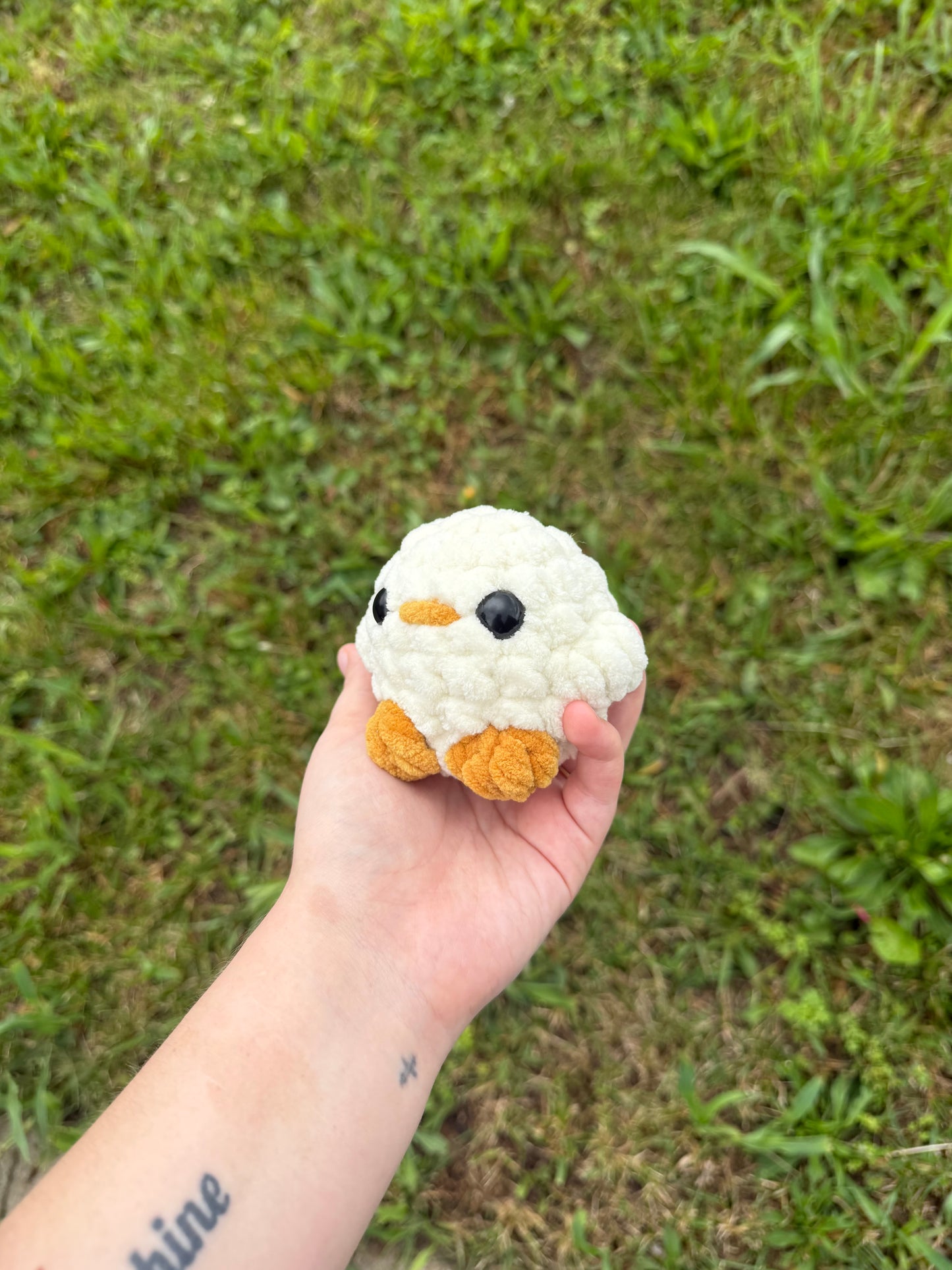 Cream Chicks