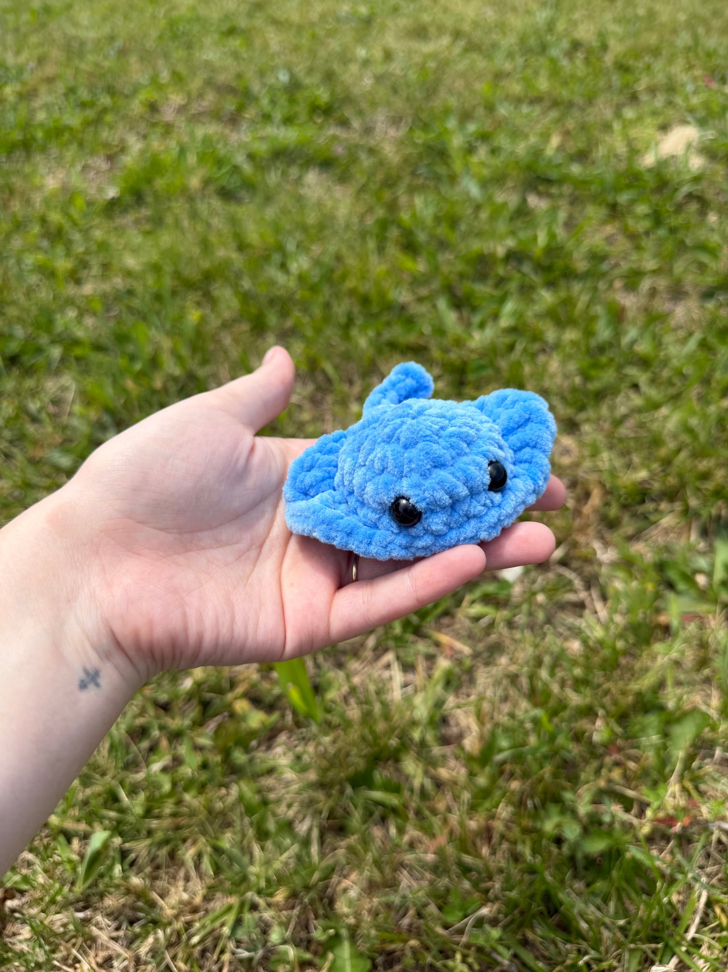 Mini Stingray