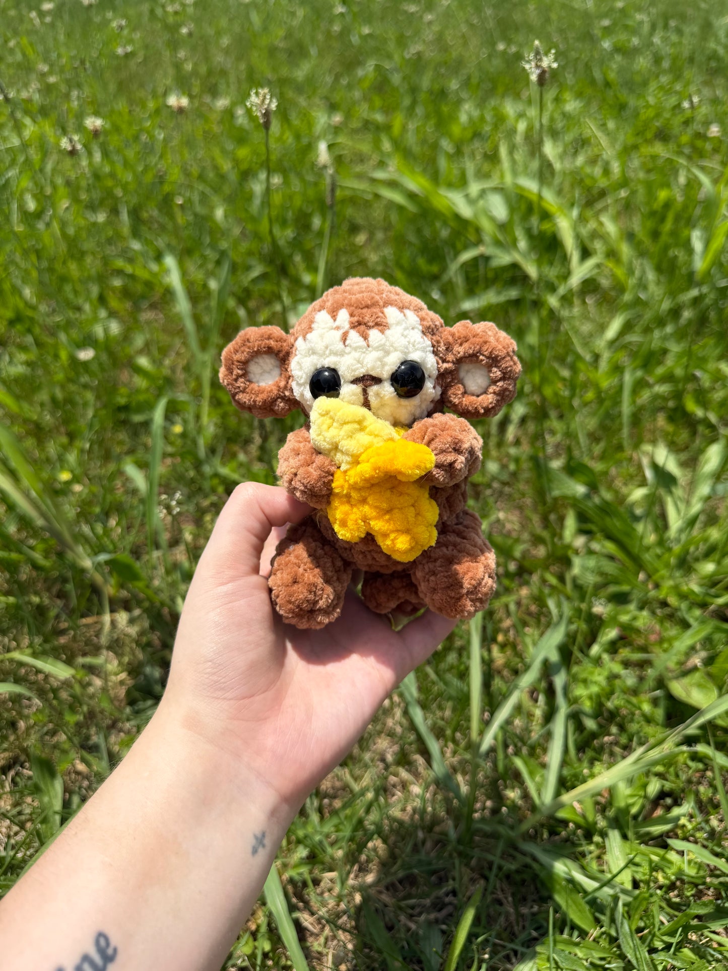 Baby Monkey
