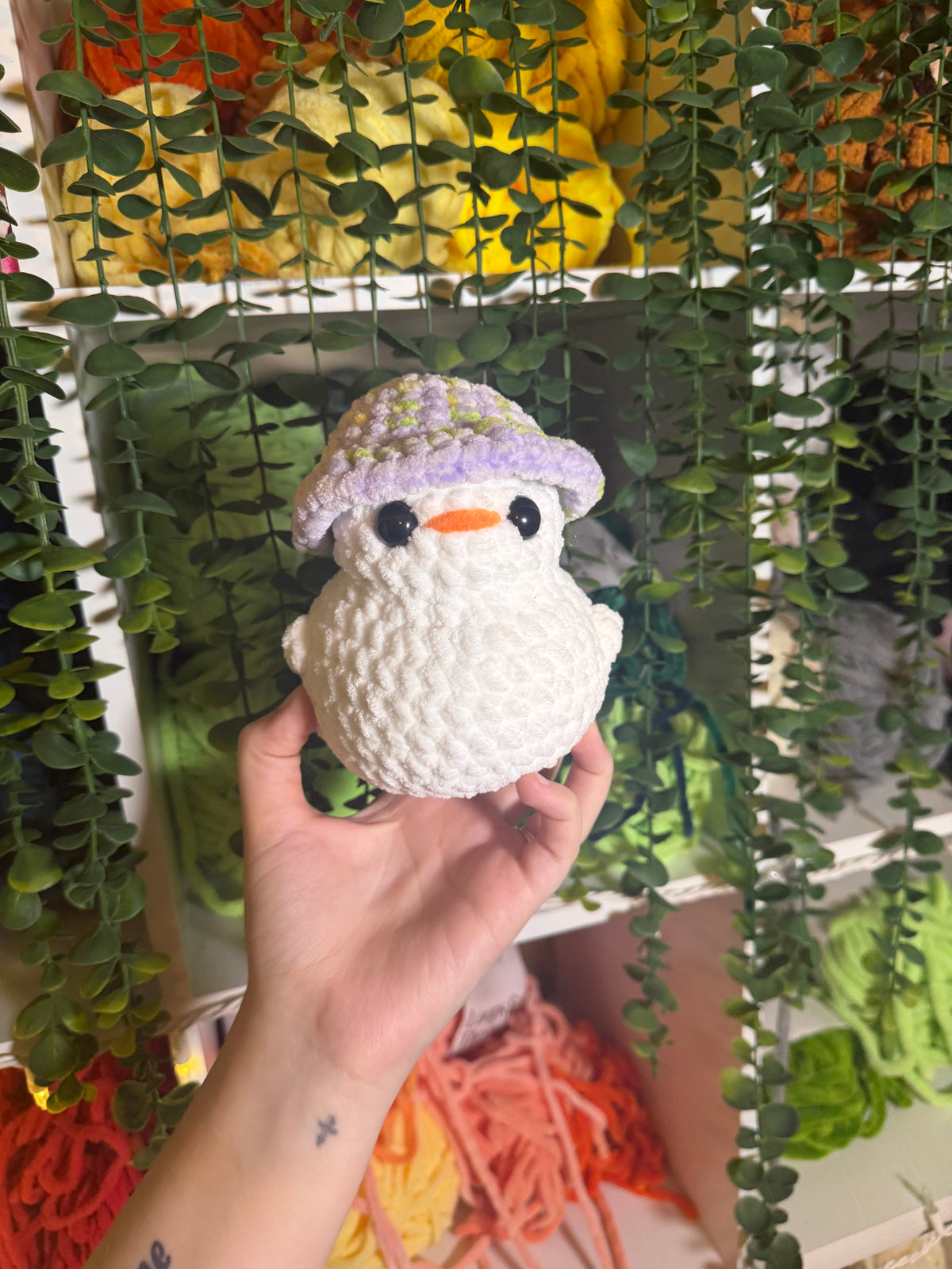 Chonky Duck With Removable Hat