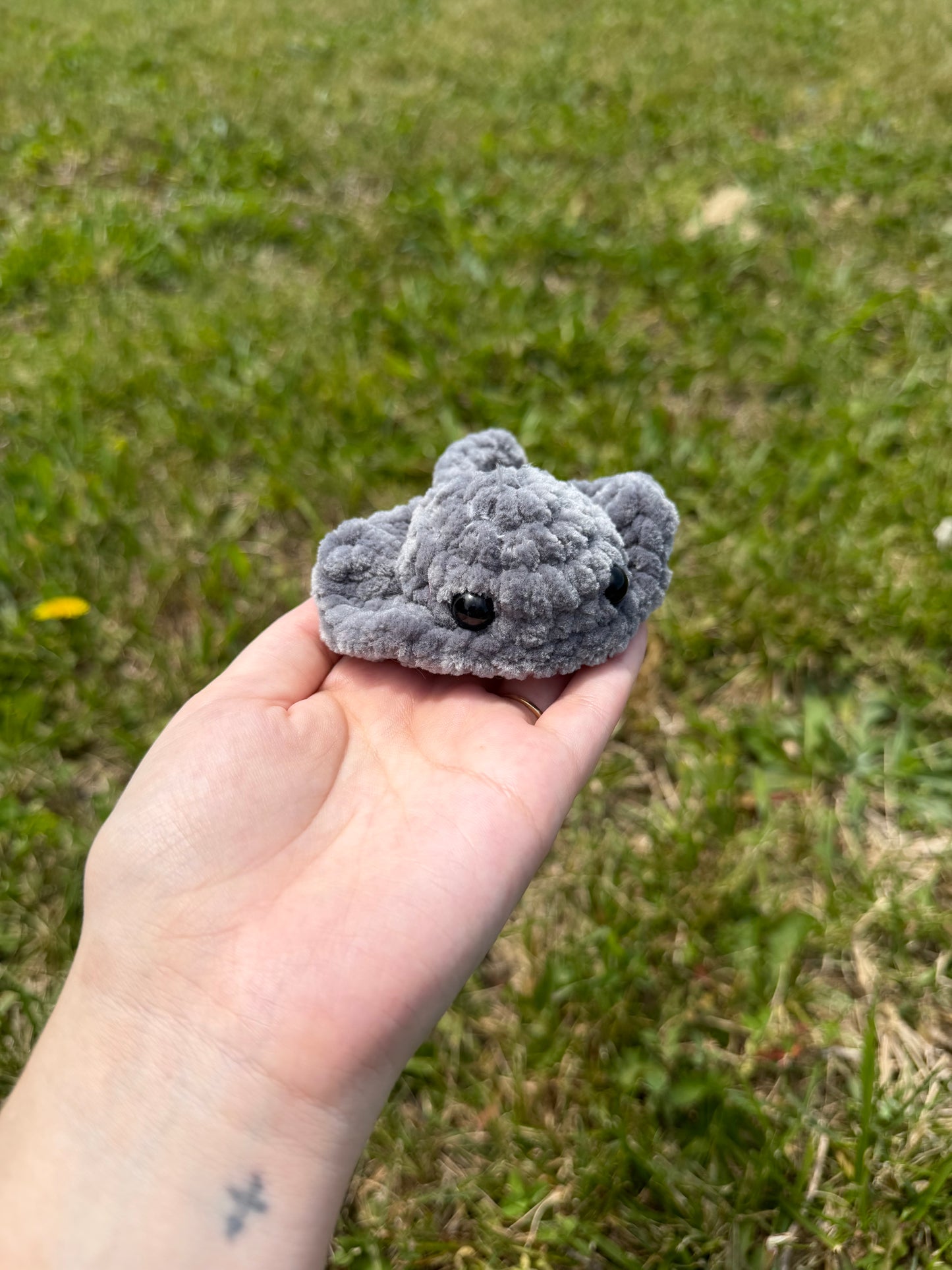 Mini Stingray
