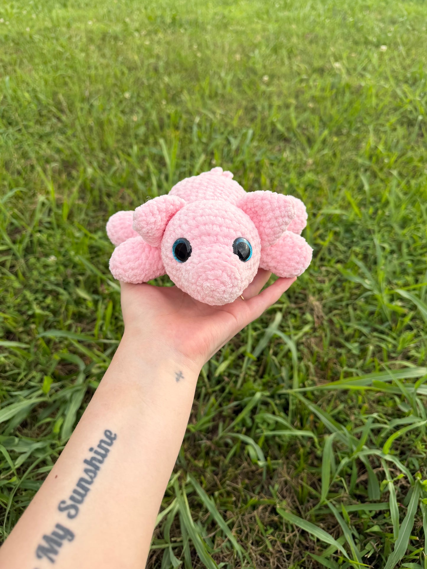Laying Pig