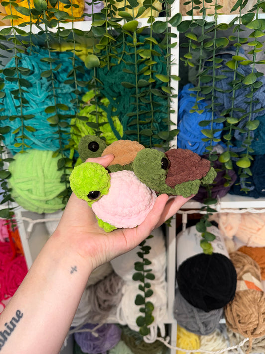 Medium Sized Turtles