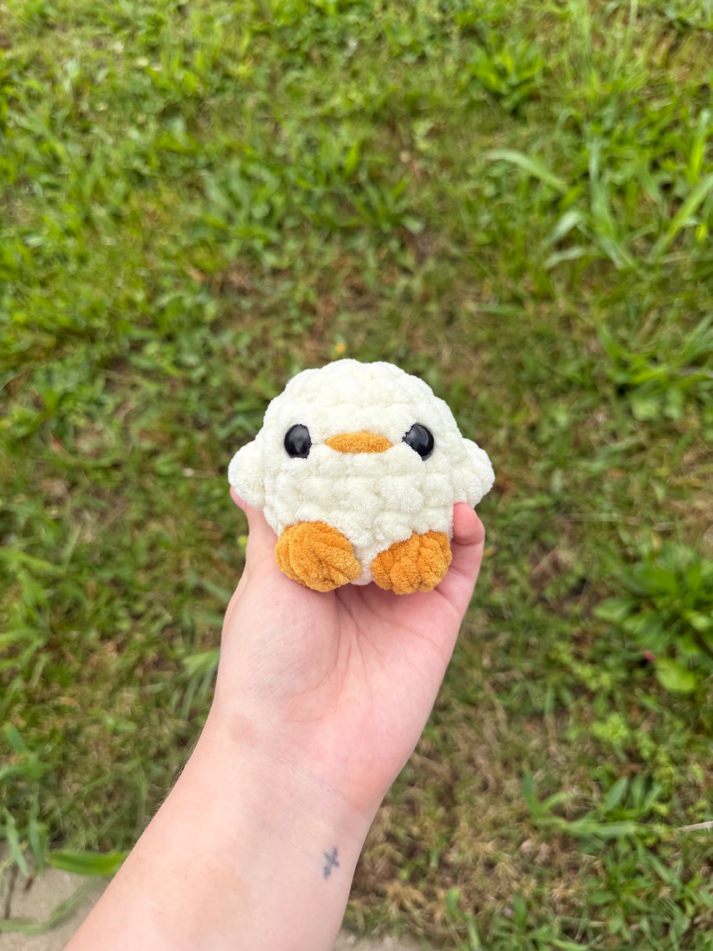 Cream Chicks