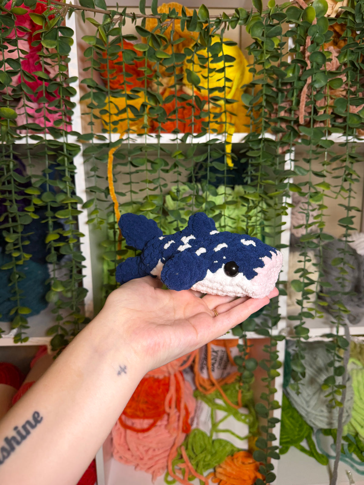 Mini Whale Shark
