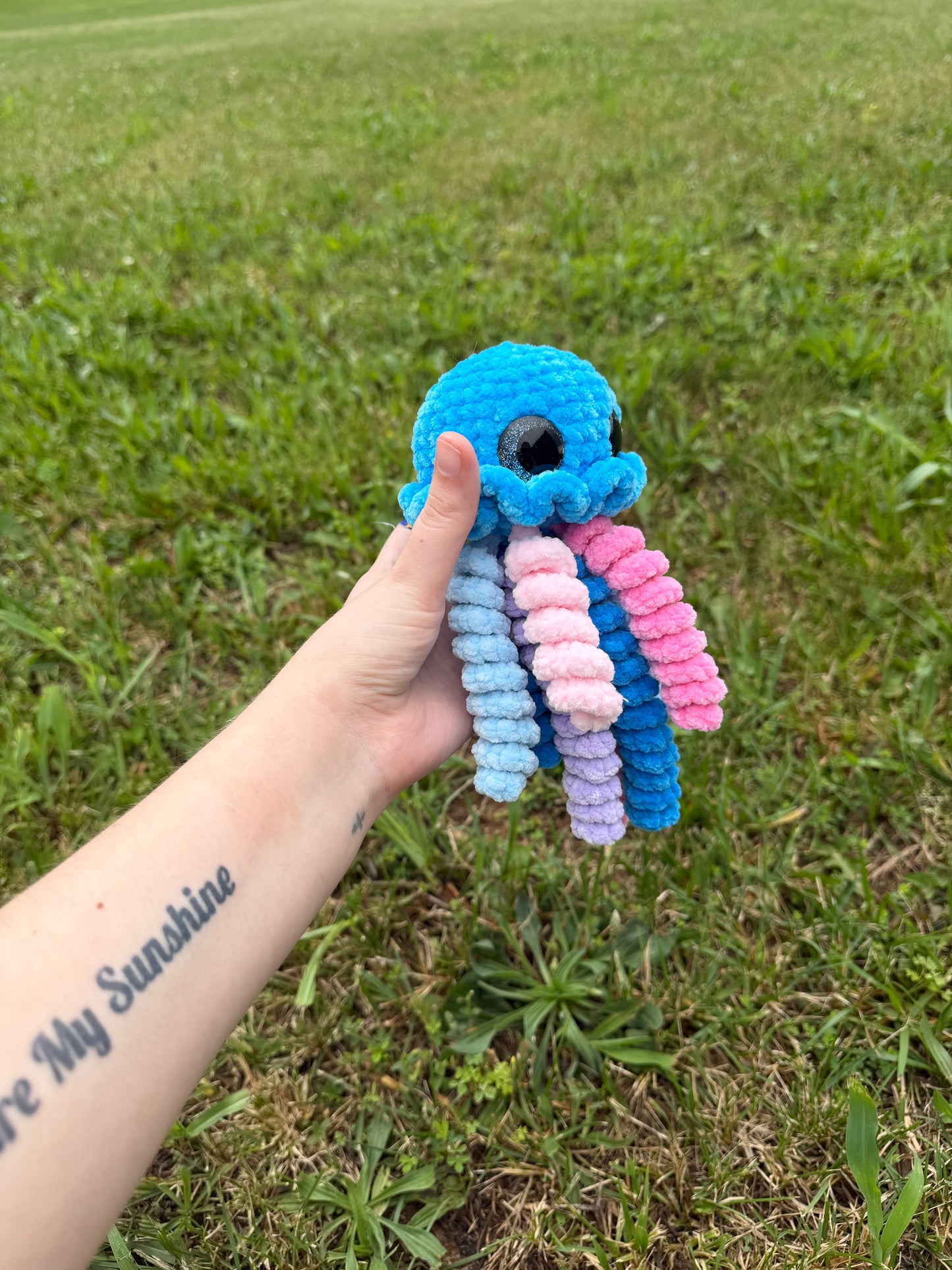 Jellyfish