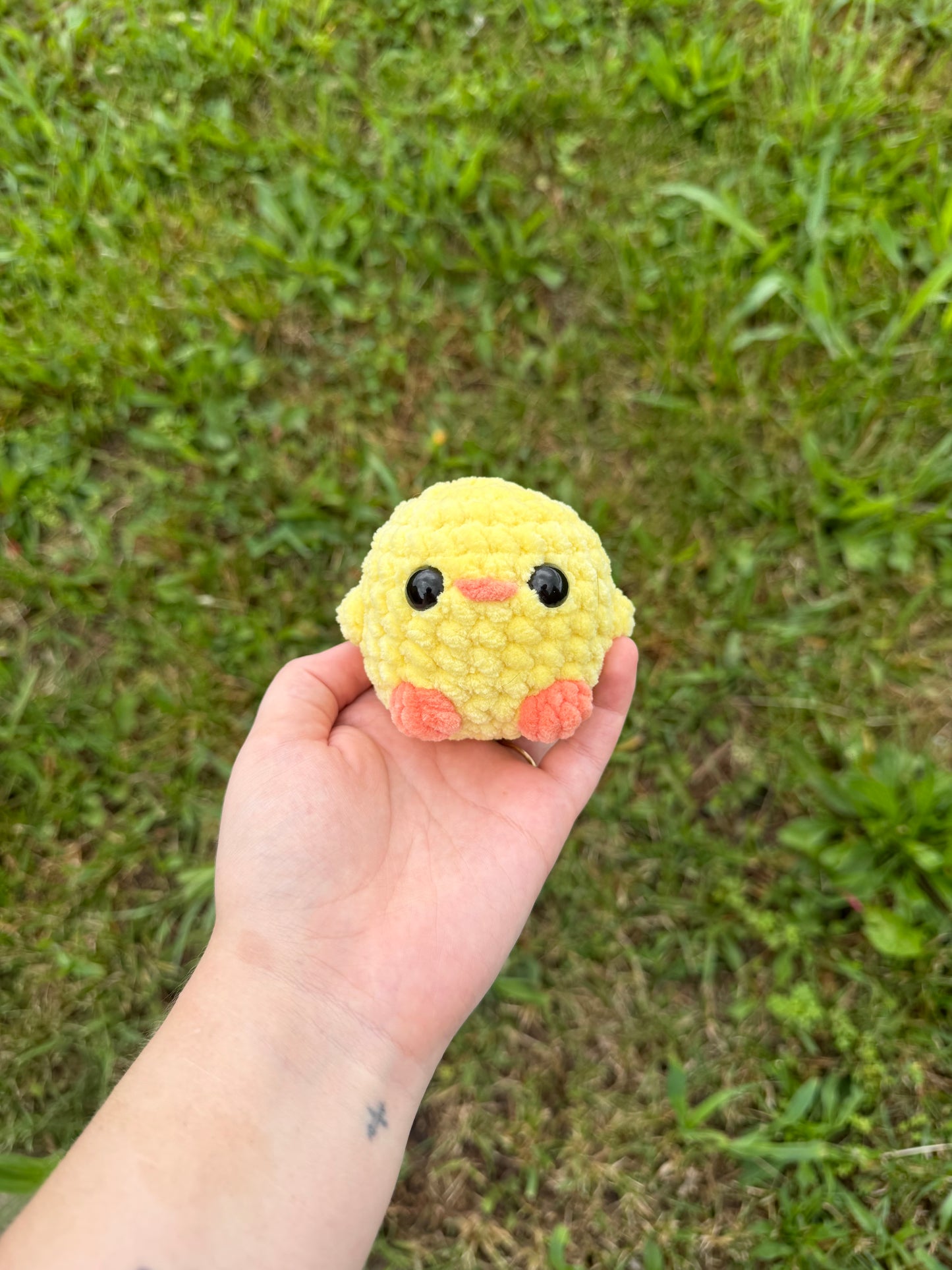 Yellow Chicks