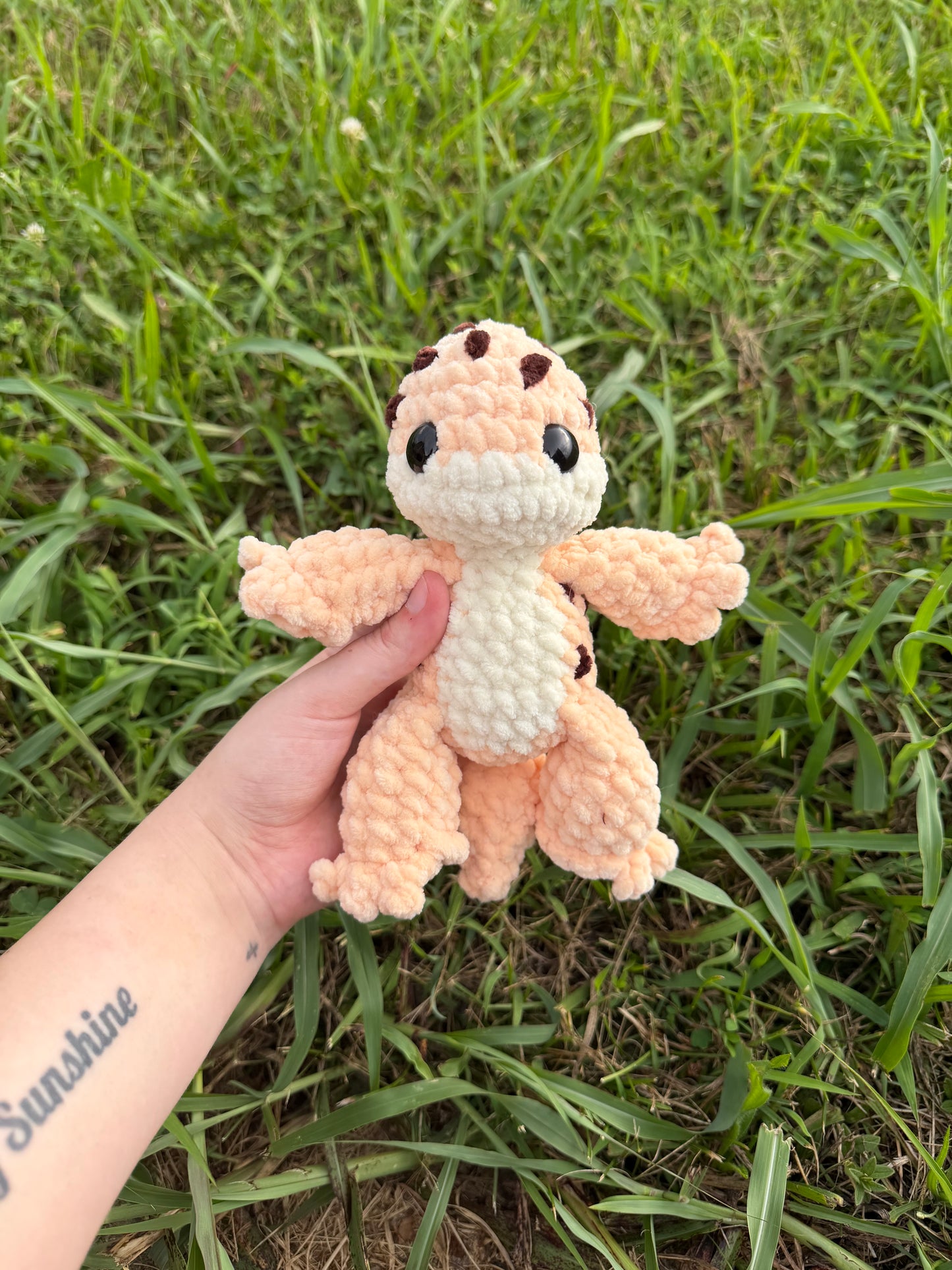 Leopard Gecko