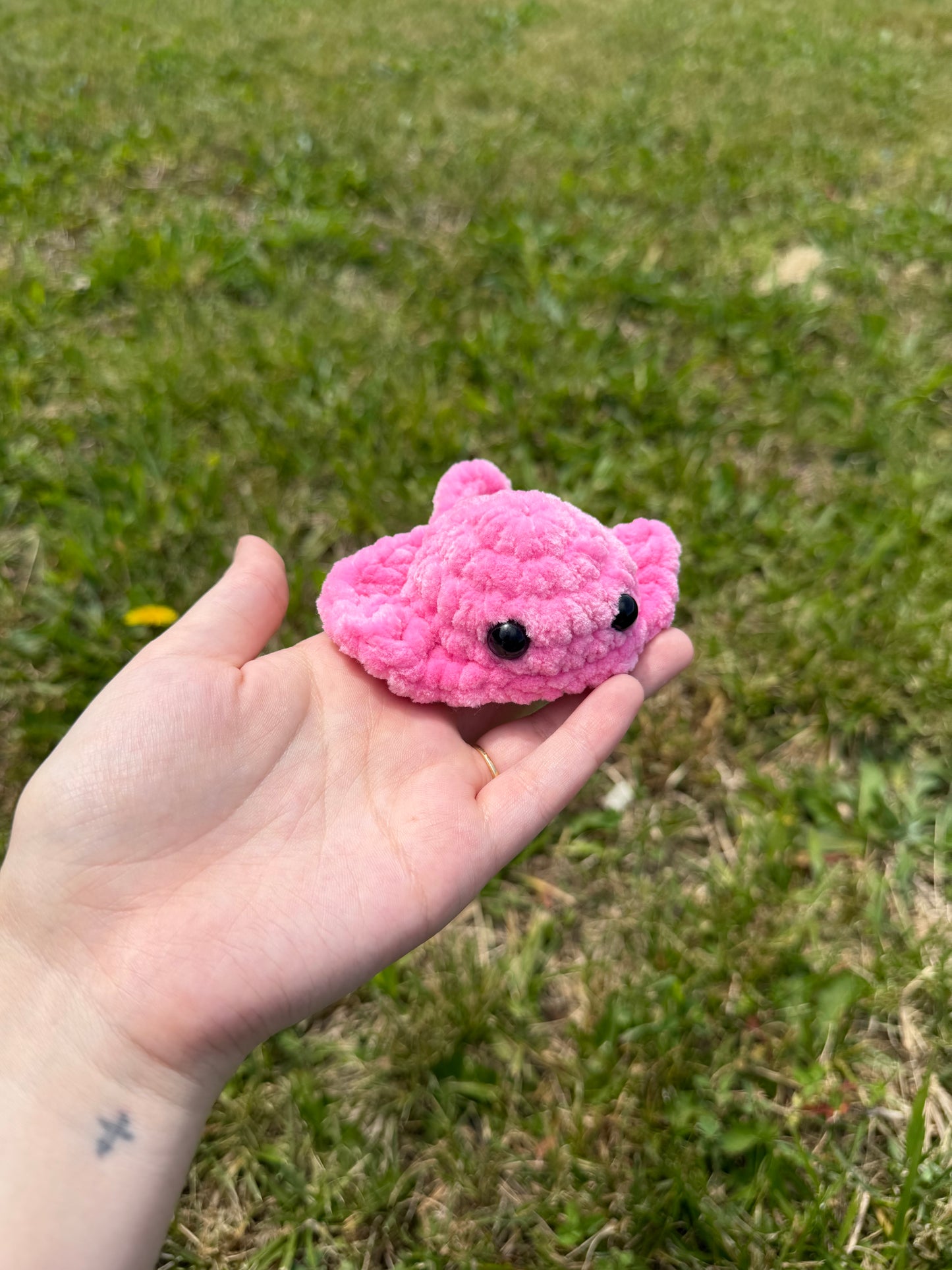 Mini Stingray