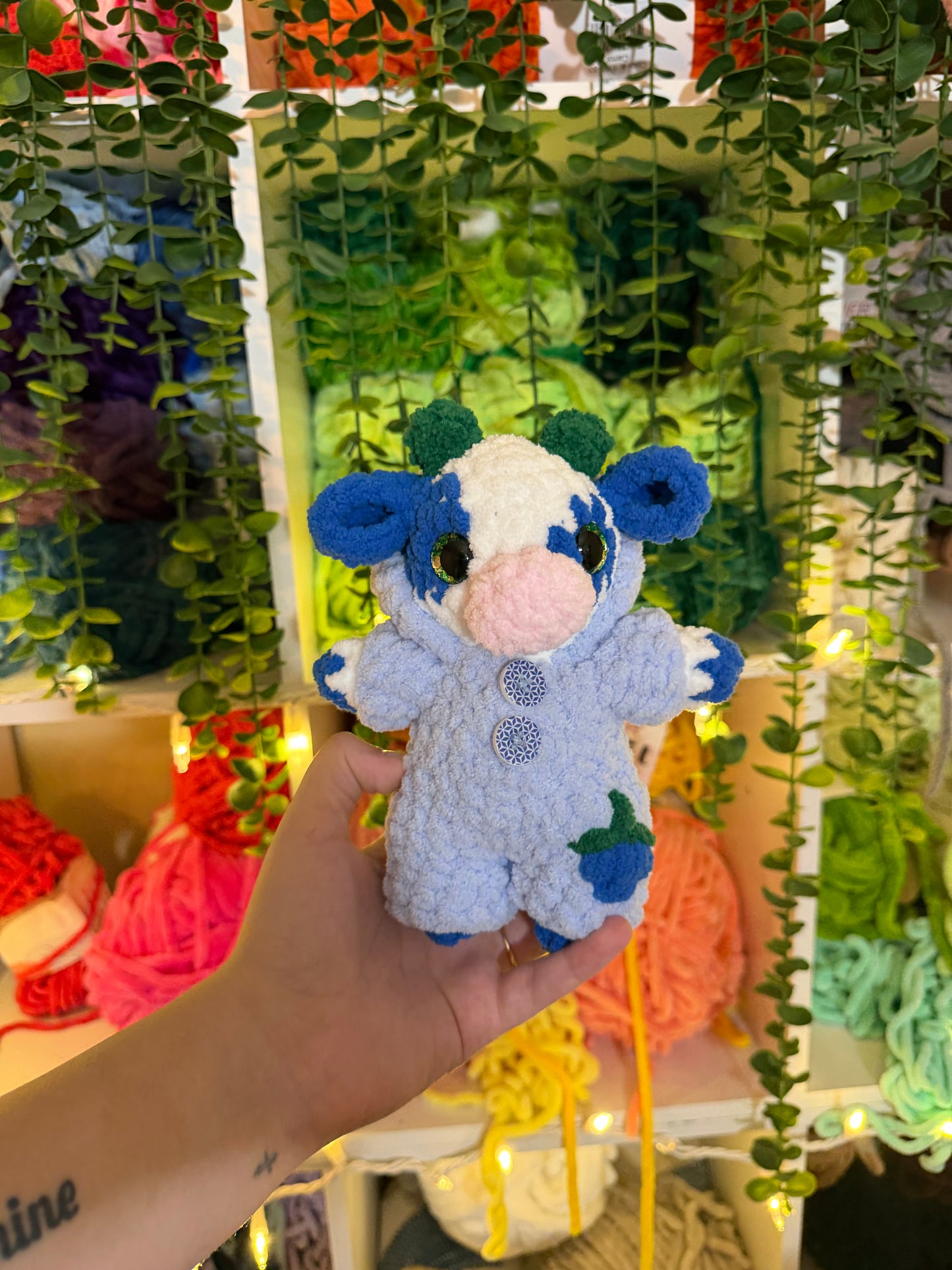 Blue Raspberry Cow in Pj’s