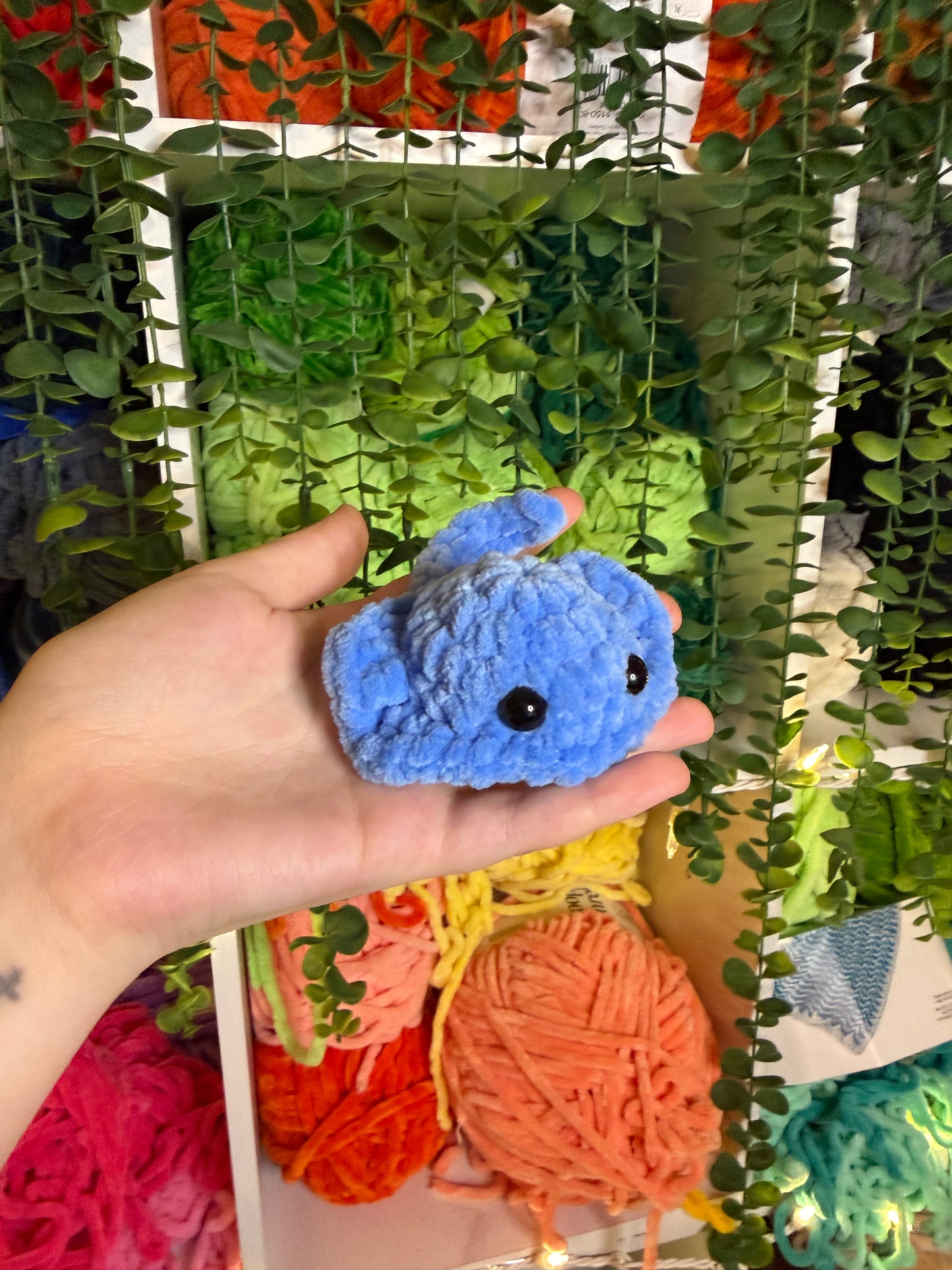 Mini Stingray