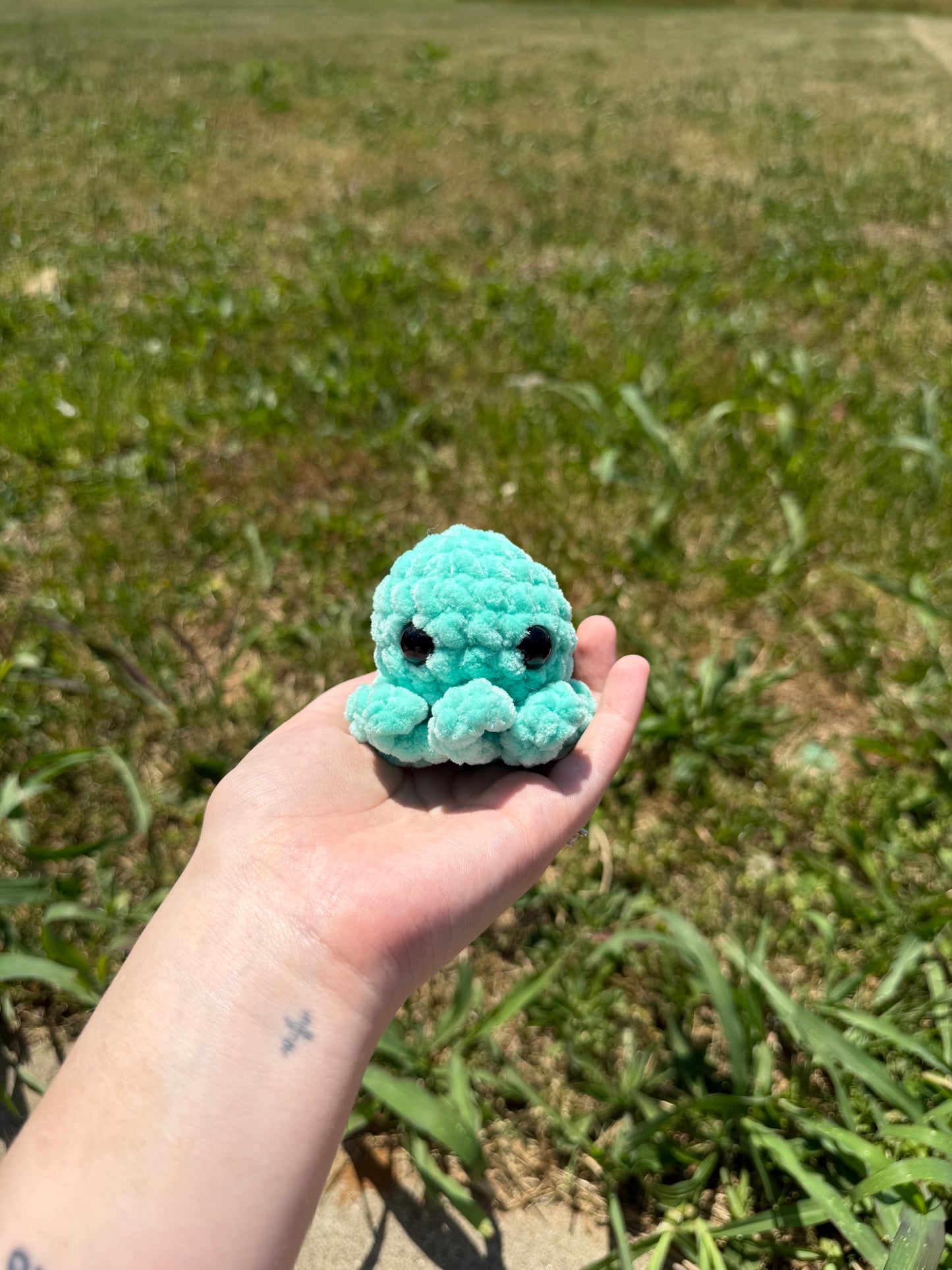 Baby Octos