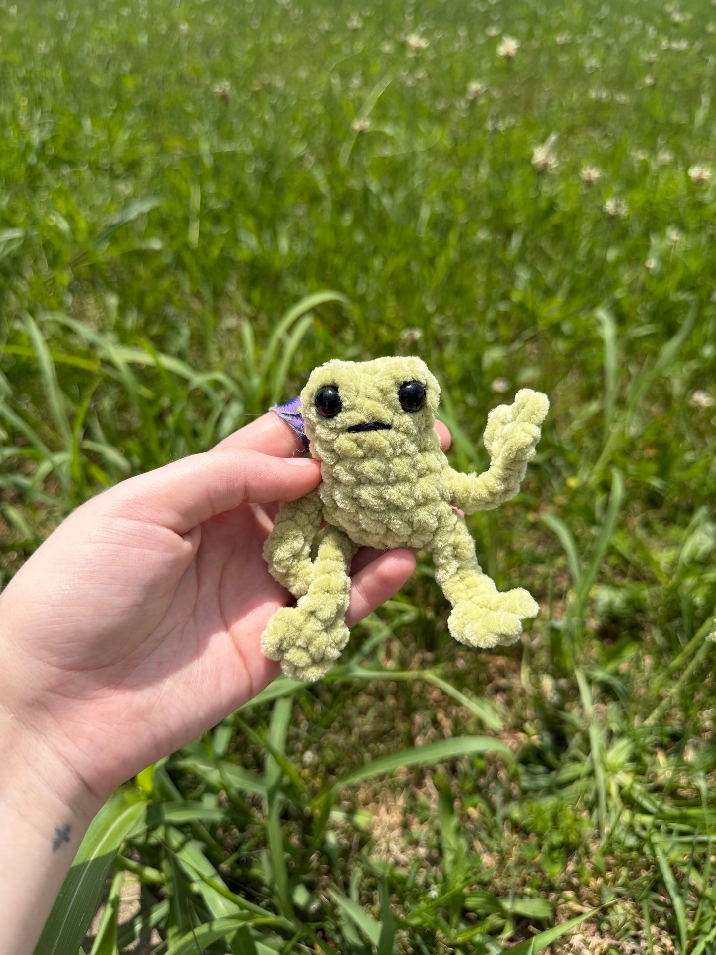 Baby Leggy Frogs