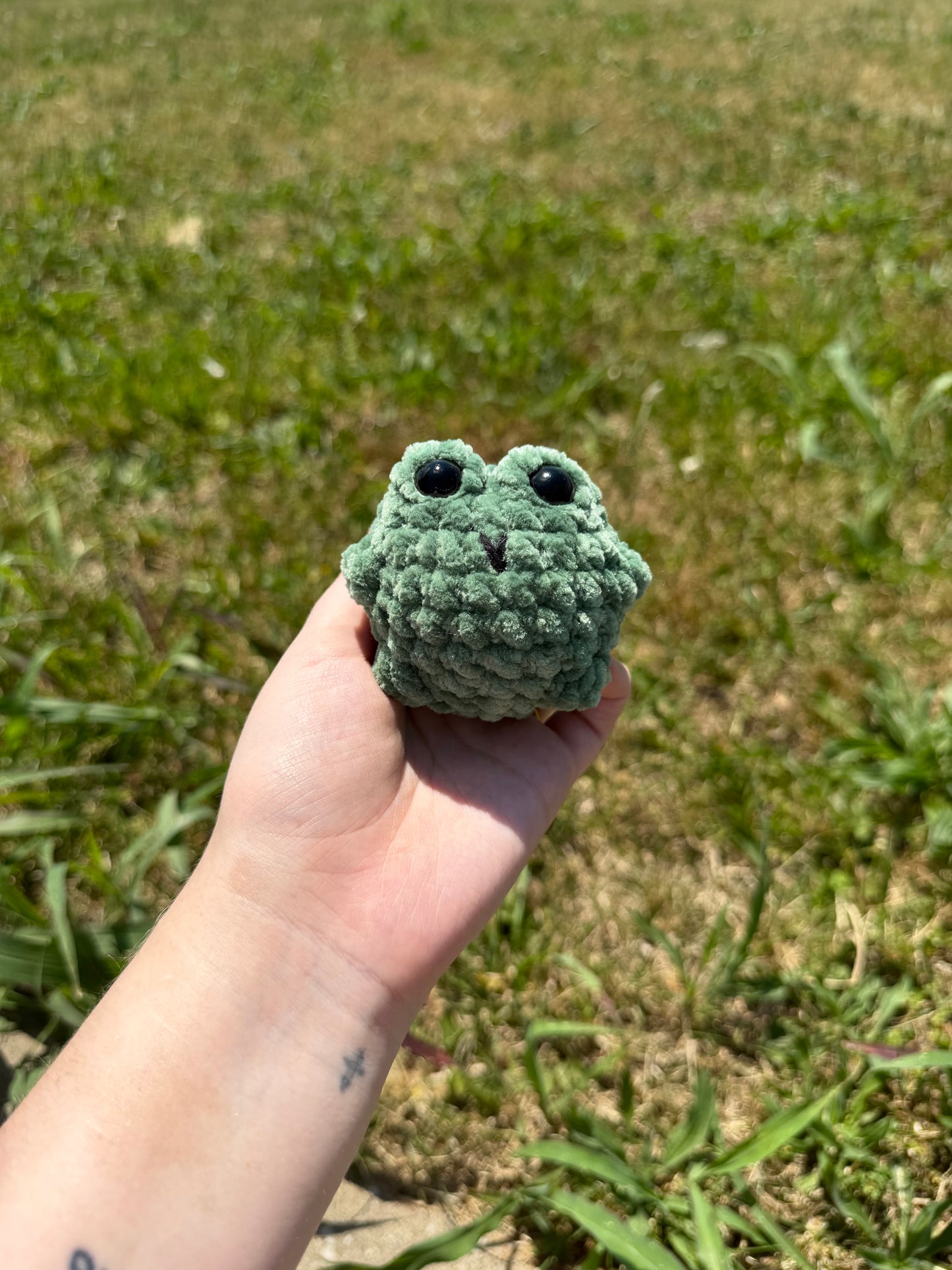 Chubby Frogs
