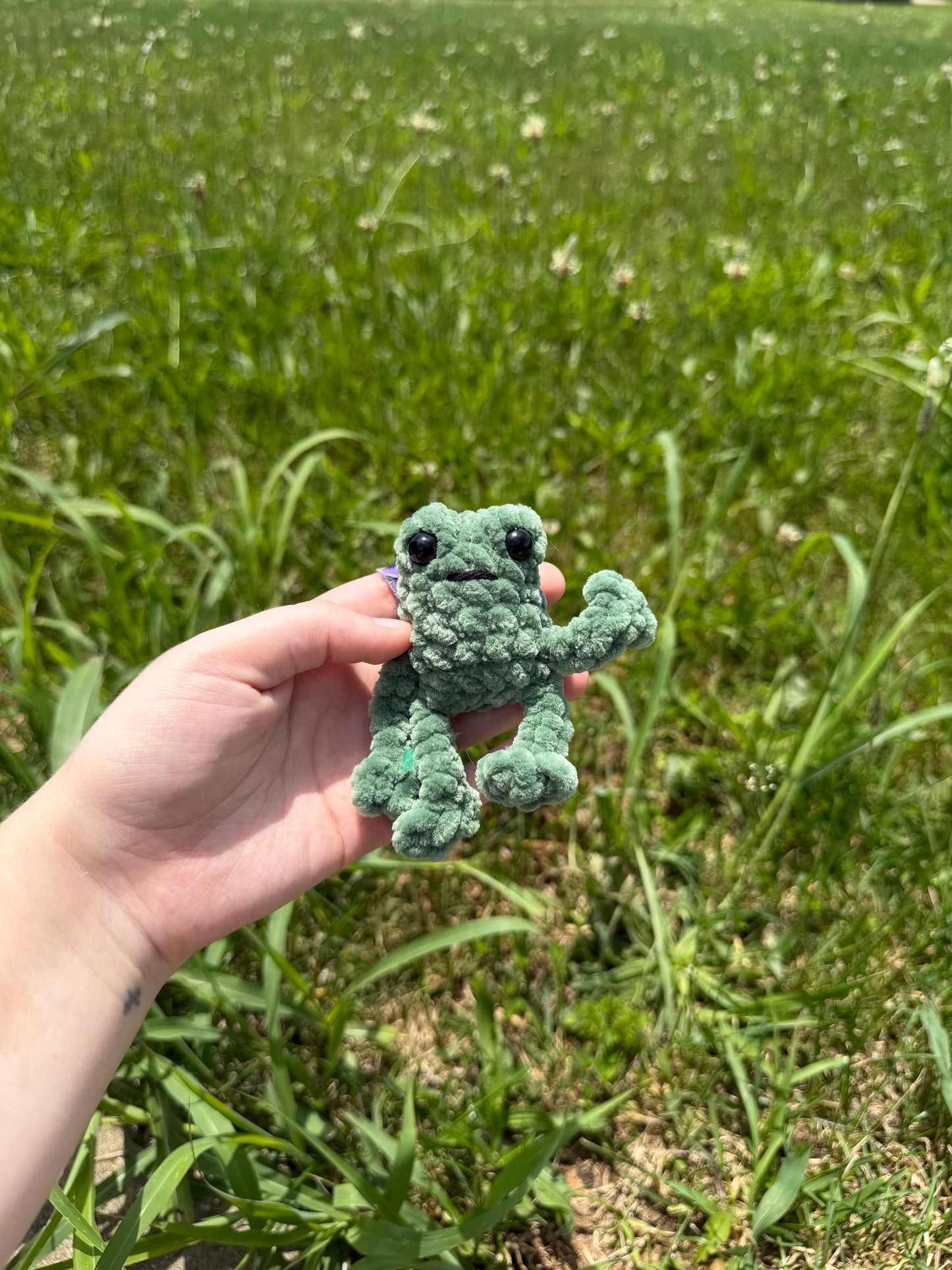 Baby Leggy Frogs