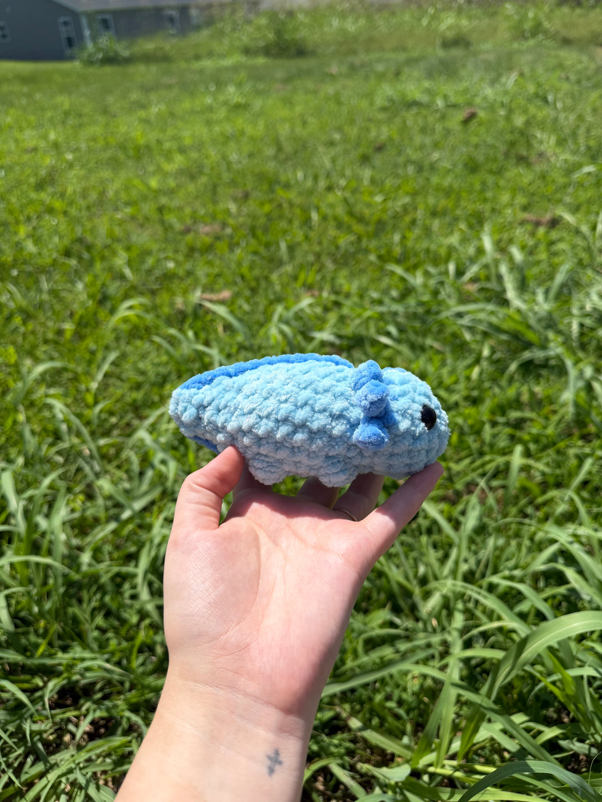 Mini Axoltls