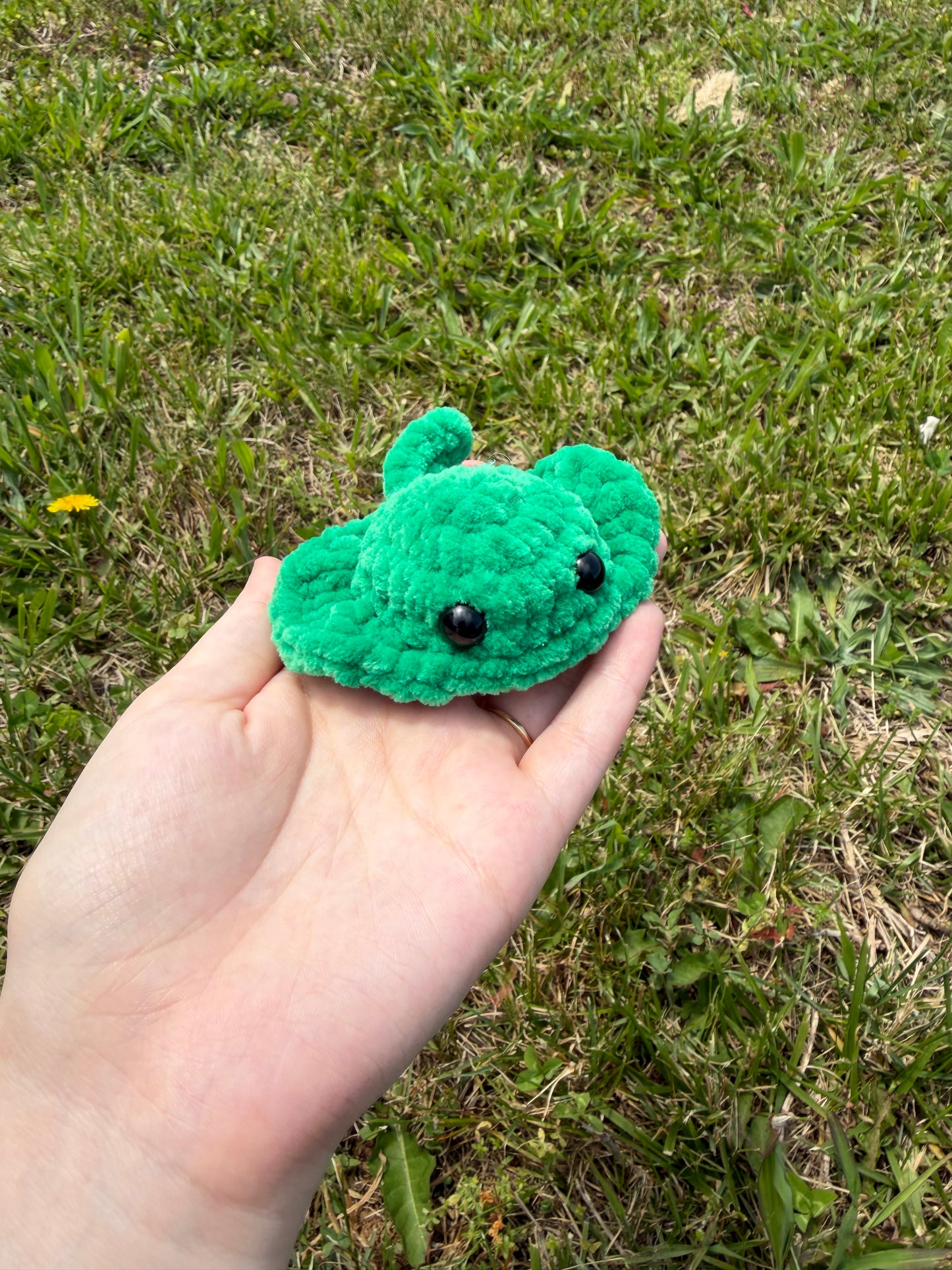 Mini Stingray