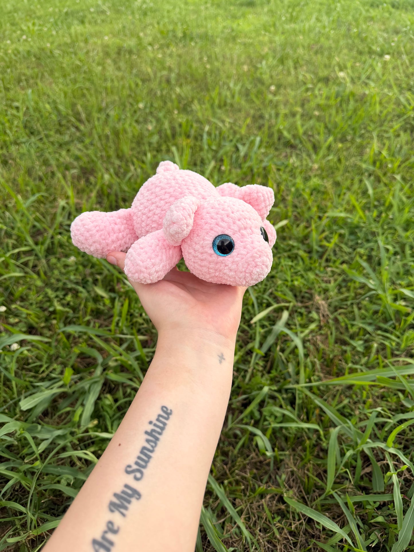 Laying Pig