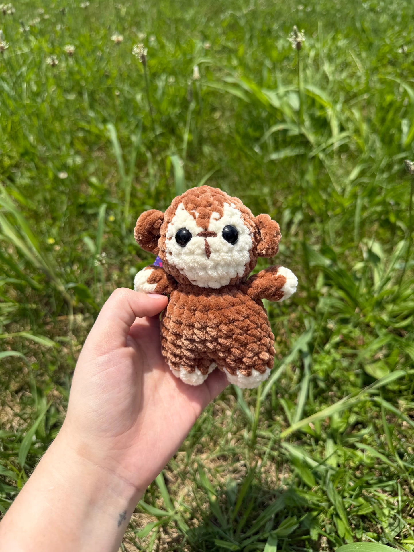 Mini Monkey