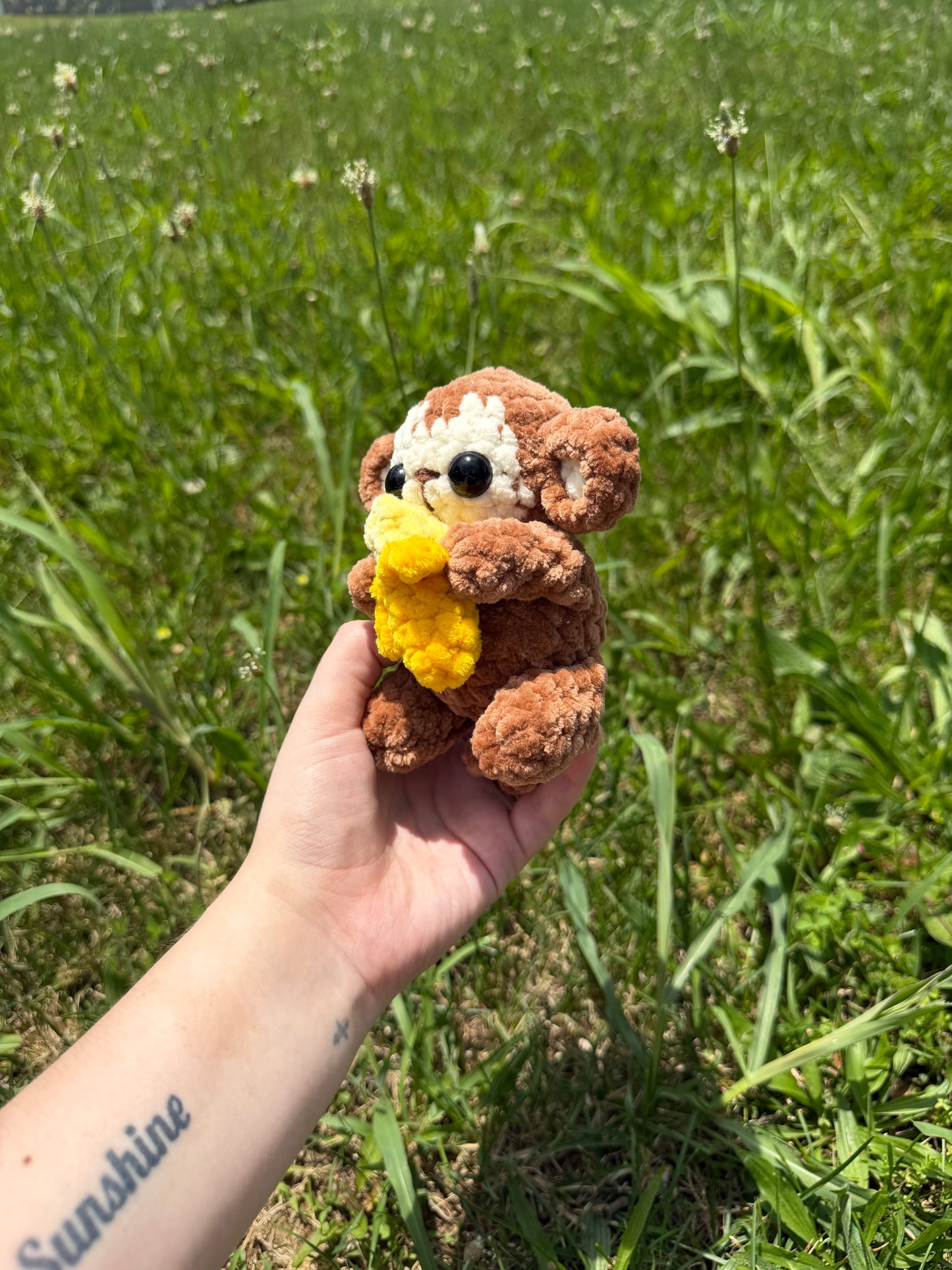 Baby Monkey