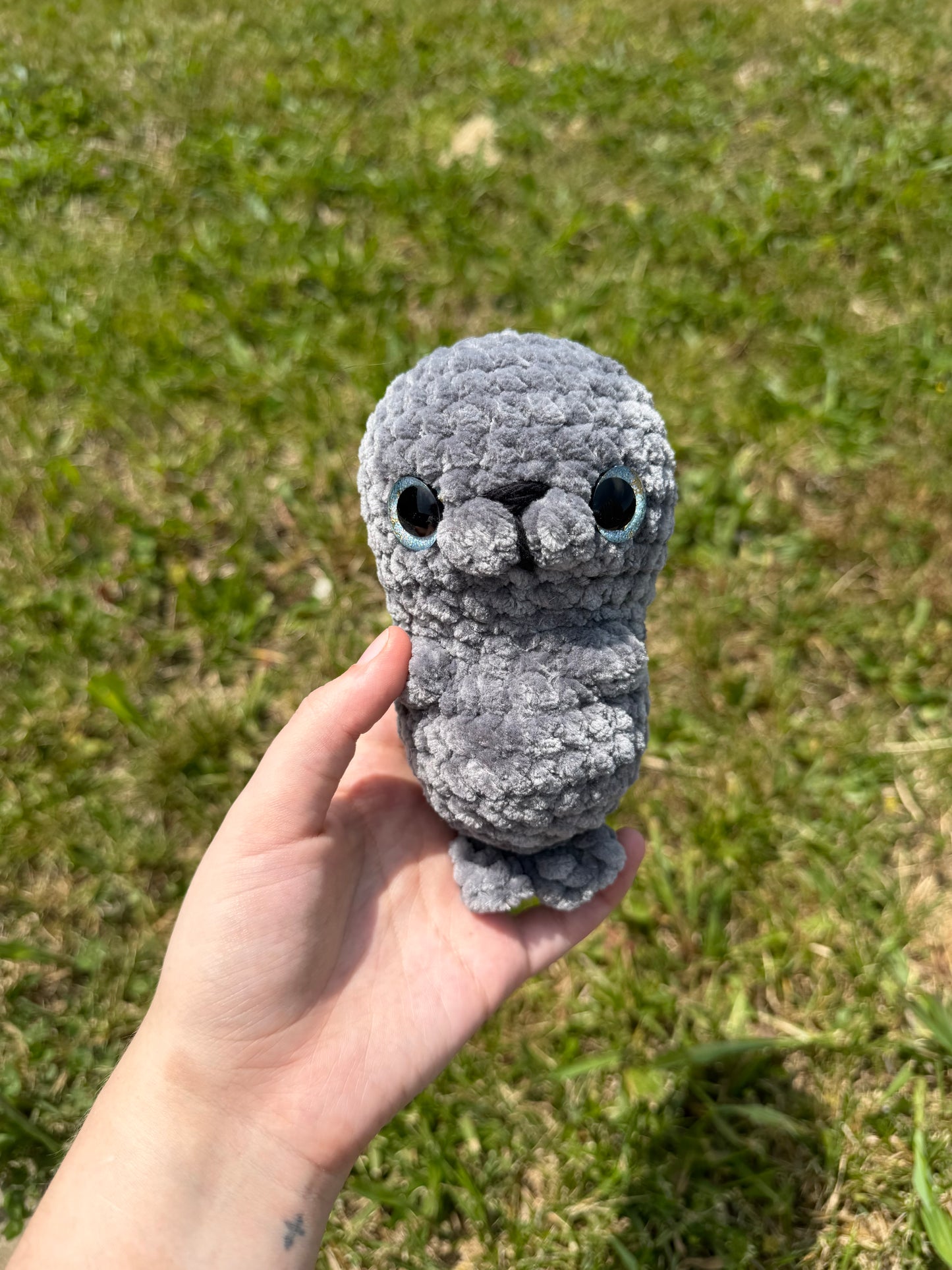 Seal
