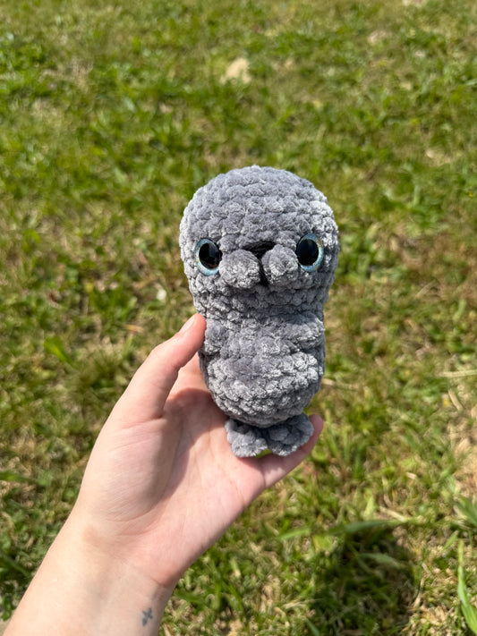 Seal