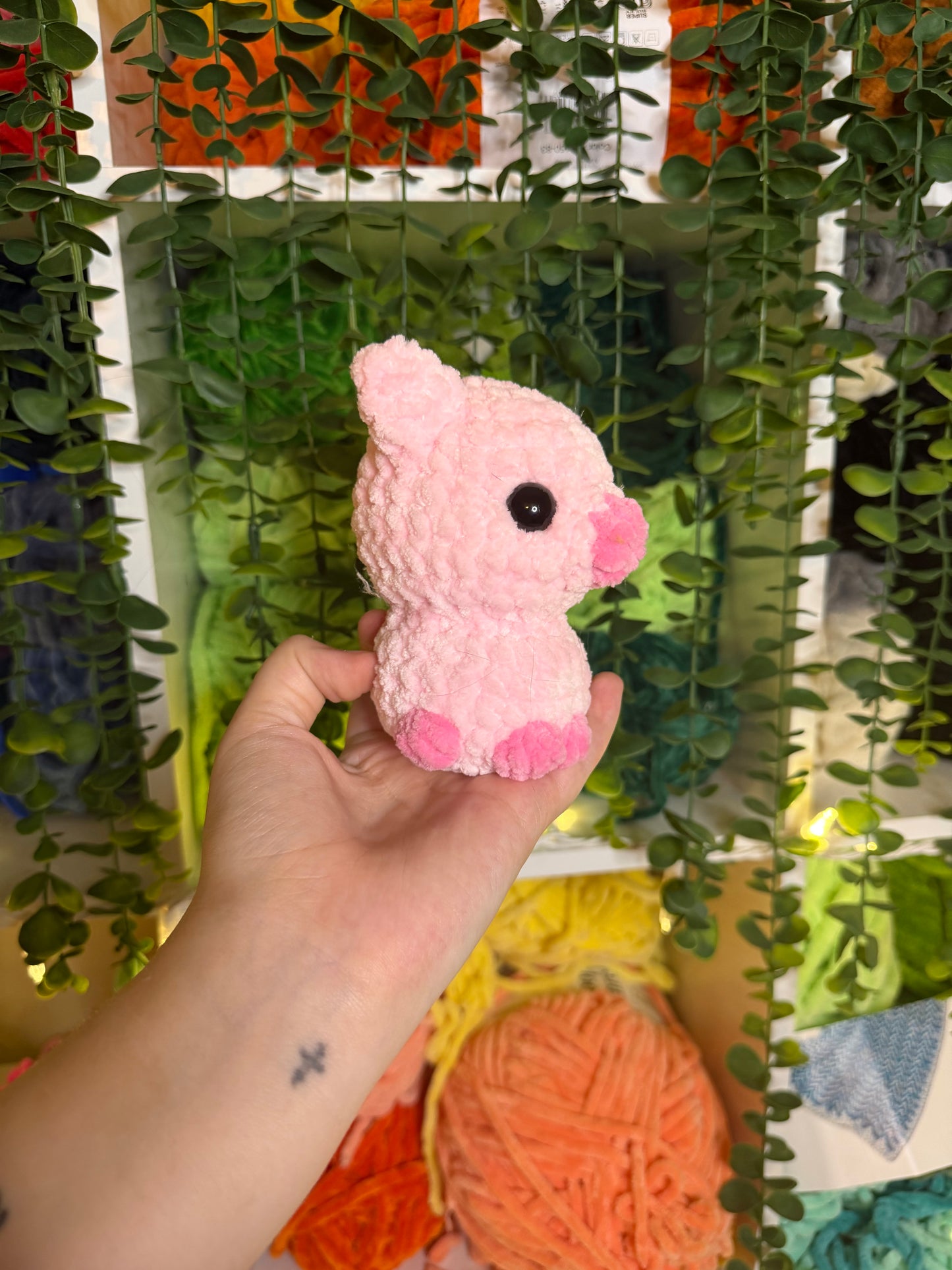 Baby pig