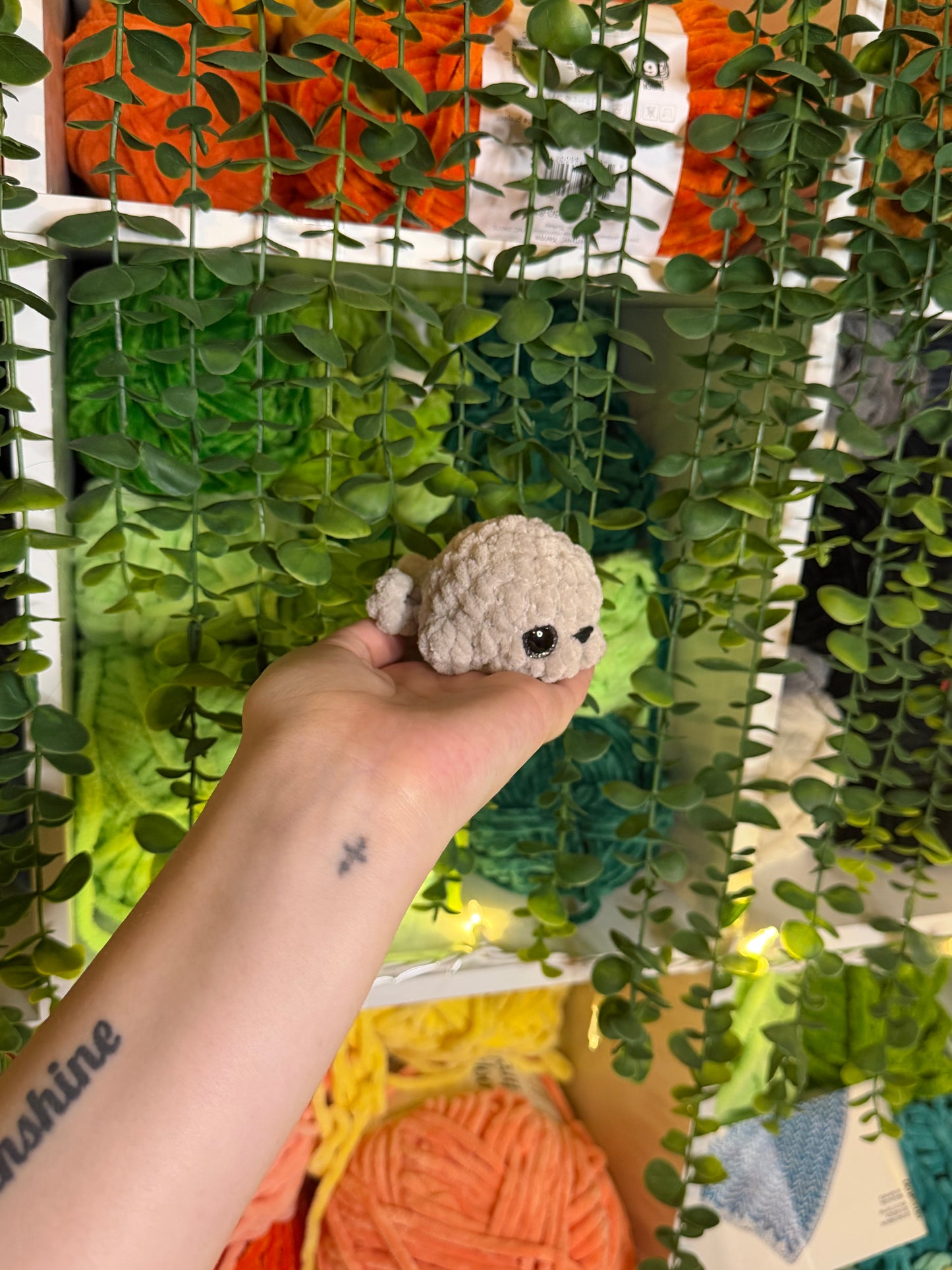 Mini Seals
