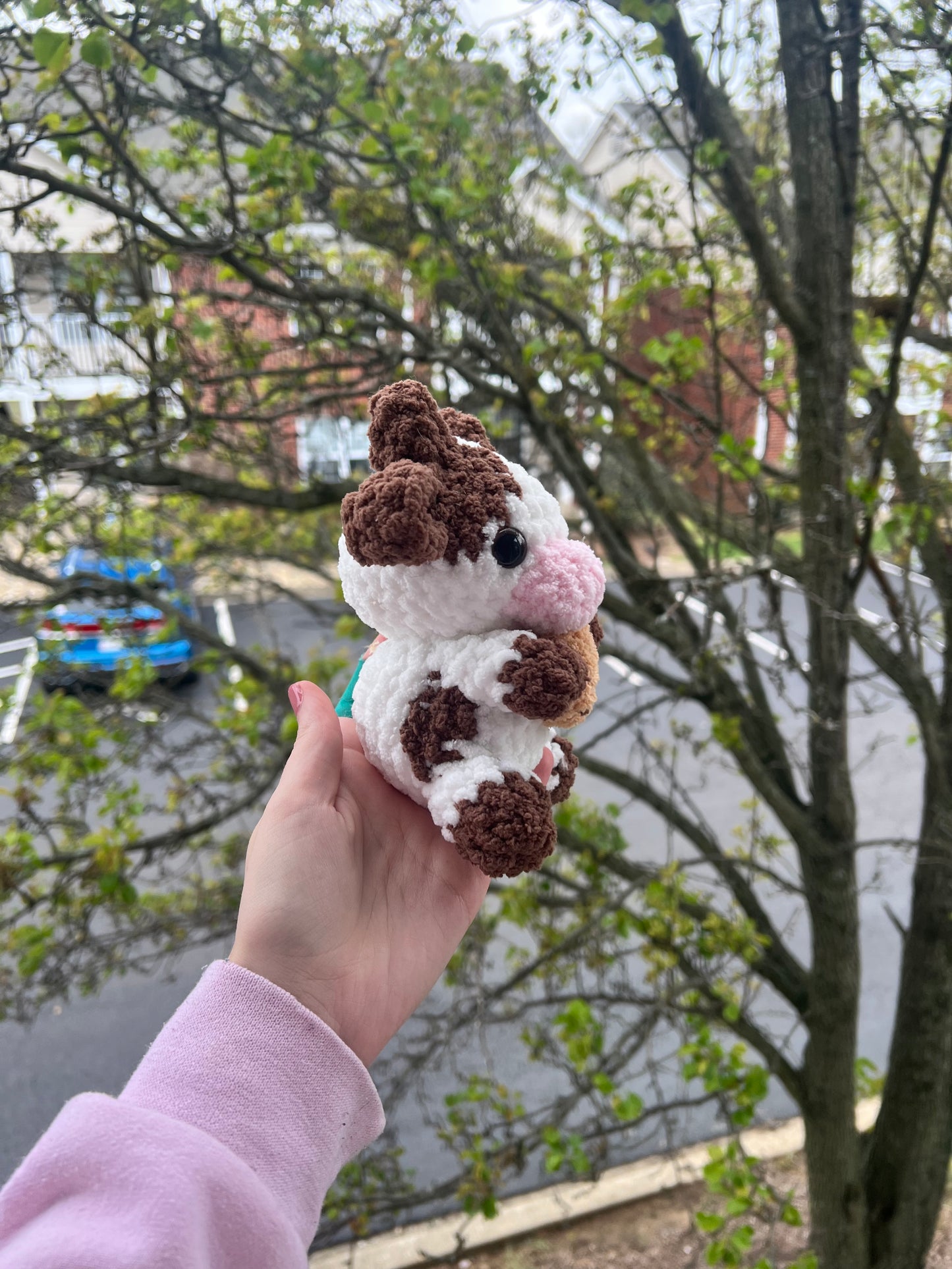 Cookie Cow