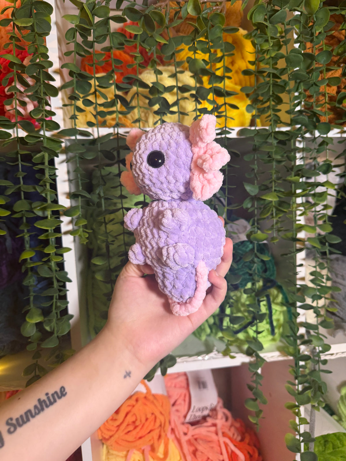 Axolotl