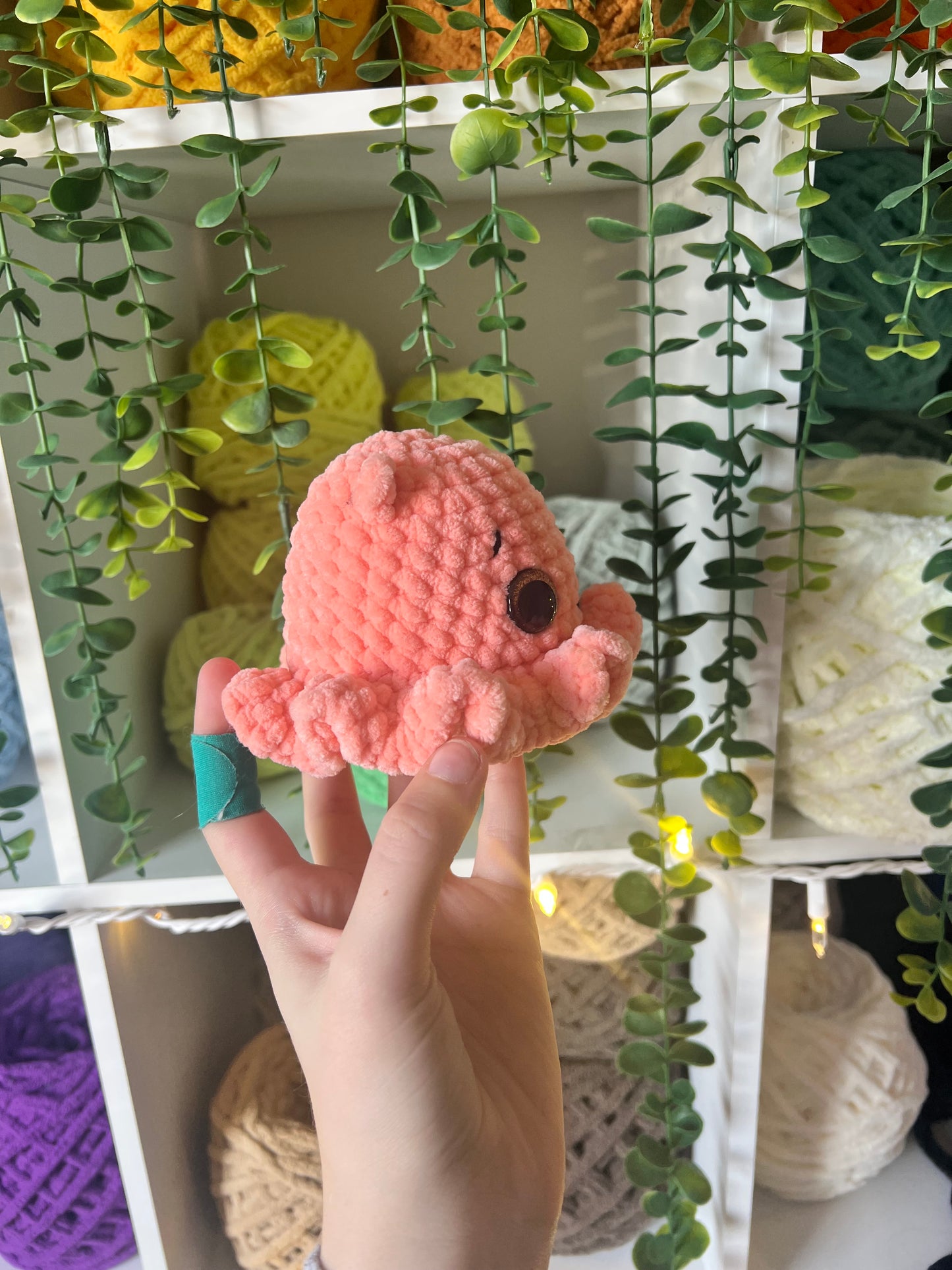 Dumbo Octopus