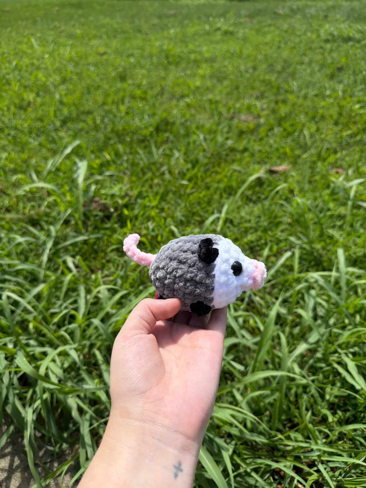 Possum